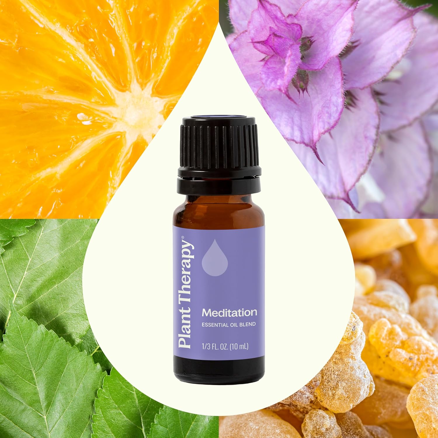 Plant Therapy Meditation Essential Oil Blend 10 mL (1/3 oz) 100% Pure, Undiluted, Calming Aromatherapy for Yoga, Mediation, and Self Care