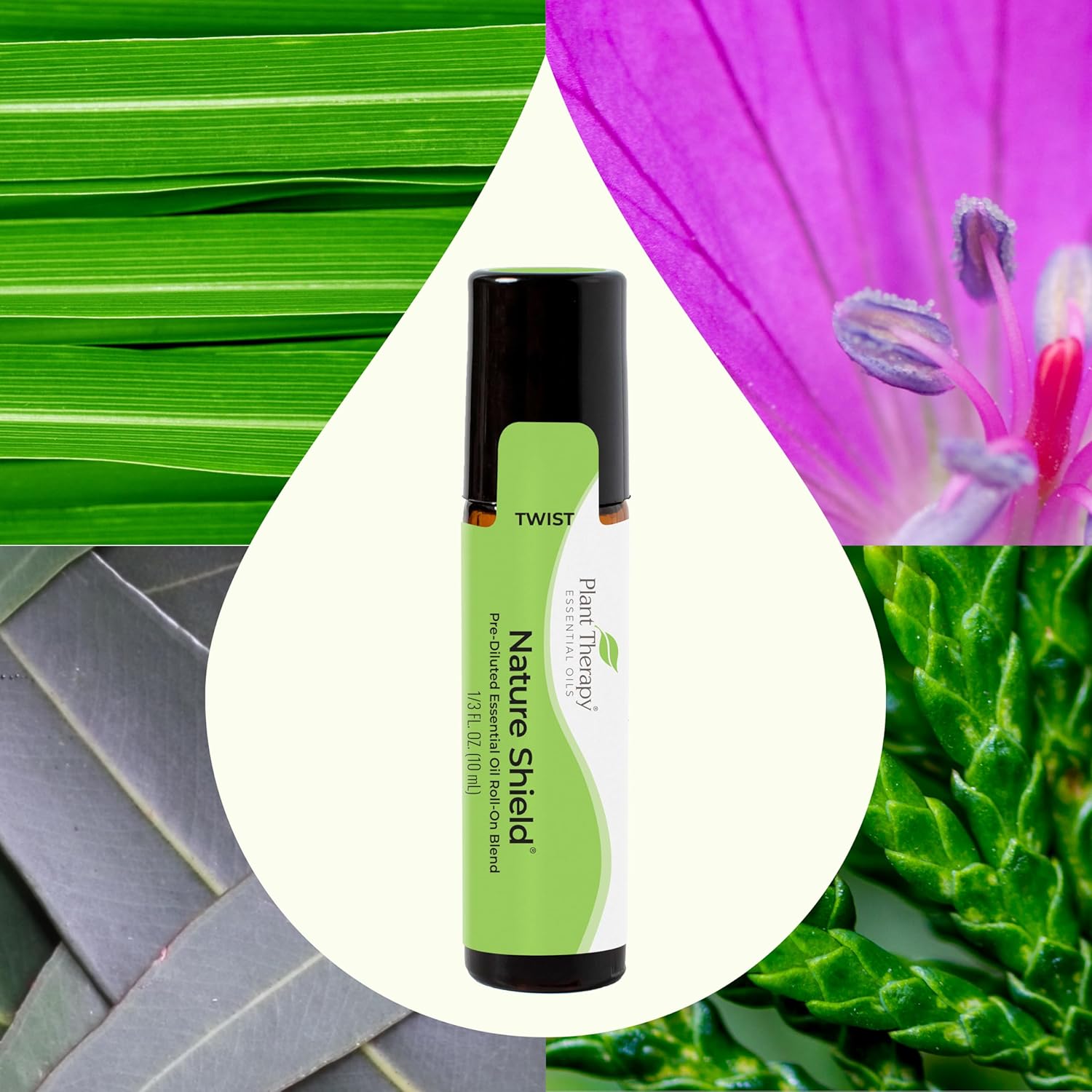 Plant Therapy Nature Shield Essential Oil Blend Pre-Diluted Roll-On 10 mL (1/3 oz) 100% Pure, Natural Aromatherapy (Pack of 2)