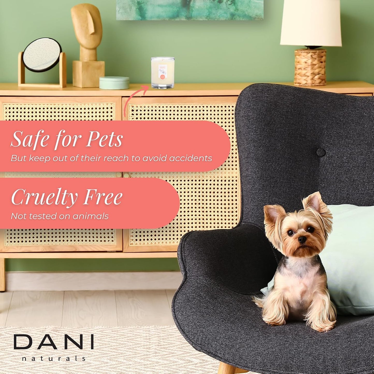 DANI Naturals Soy Candle - Coconut Hibiscus Scented, 100% Pure Soy Wax, Kosher, Non-Toxic, Long-Lasting Burn - 7.5 oz