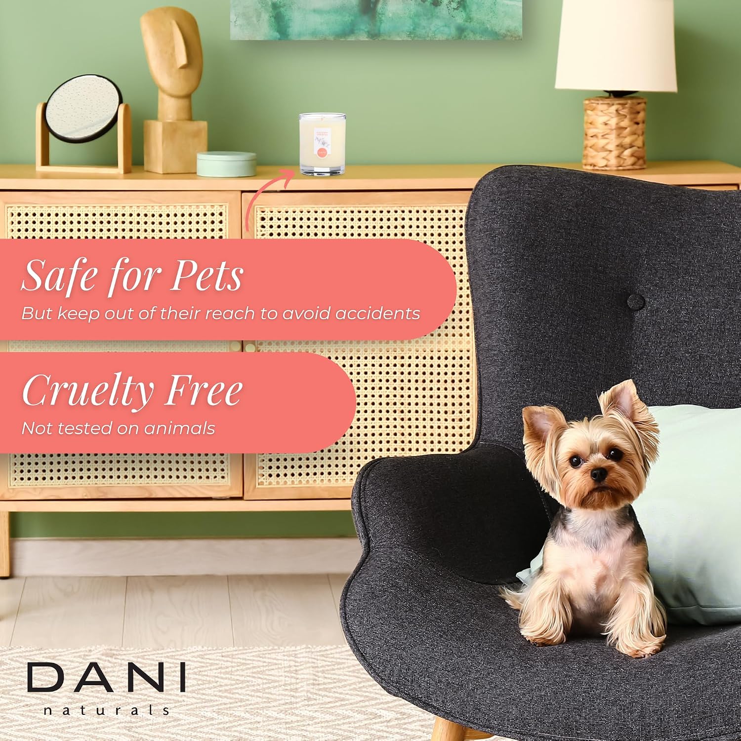 DANI Naturals Soy Candle - Coconut Hibiscus Scented, 100% Pure Soy Wax, Kosher, Non-Toxic, Long-Lasting Burn - 7.5 oz