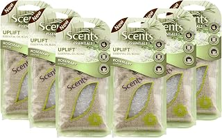 Scents Automotive Essentials Sachet Air Freshener: Breathe; 6 count
