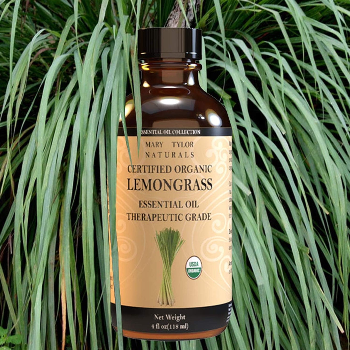 Certified Organic Lemongrass Essential Oil 4 oz Therapeutic Grade Perfect for Aromatherapy, Relaxation, DIY, Improved Mood, Diffuser by Mary Tylor Naturals