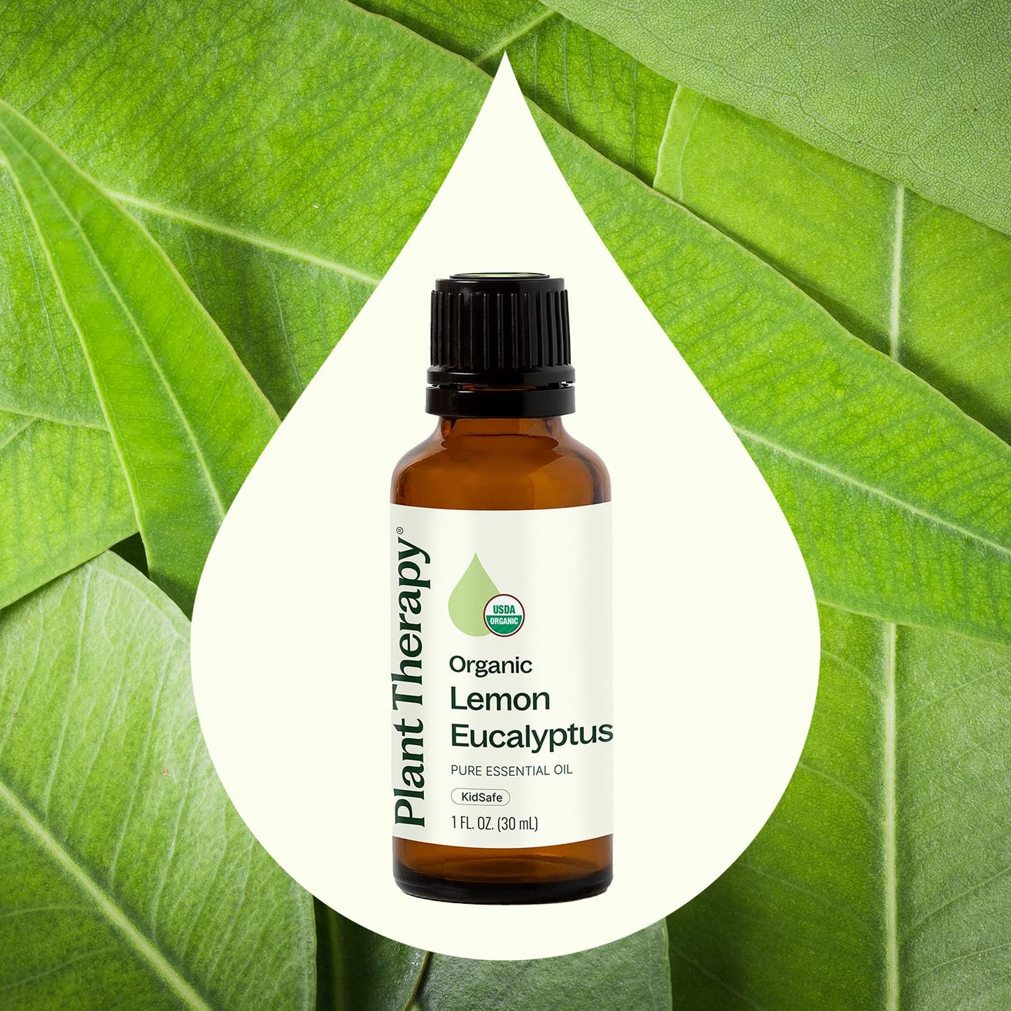 Plant Therapy Organic Lemon Eucalyptus Essential Oil, 30 mL (1 oz), 100% Pure and Undiluted, USDA Certified Organic, Great for Essential Oil Diffusing and DIY Cleaning Solutions