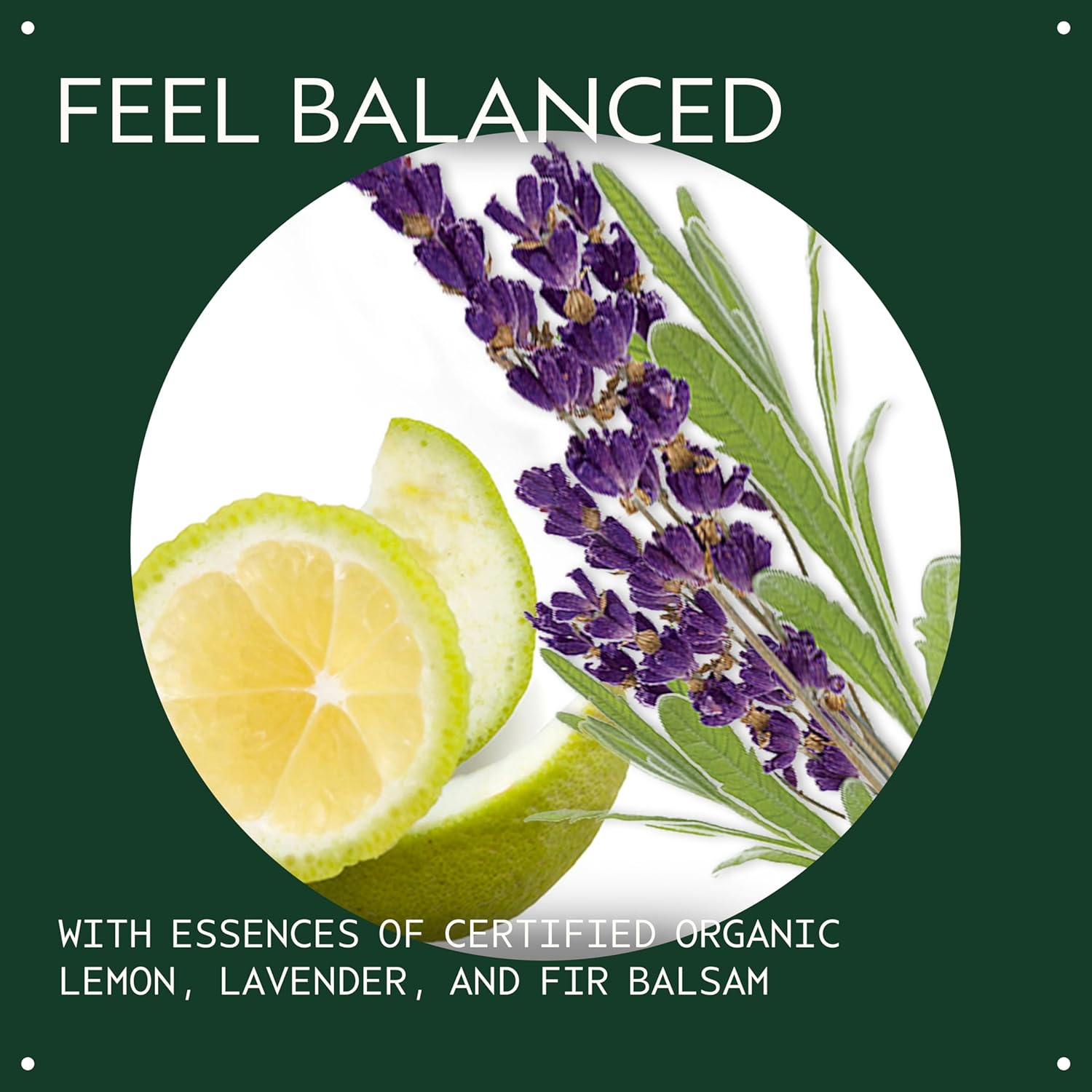 Aveda Chakra 3 Balancing Pure-Fume Mist: Intention | Body & Room Spray | Balances Power Chakra | With Certified Organic Lavender, Lemon, Fir Balsam, 3.4 Fl Oz