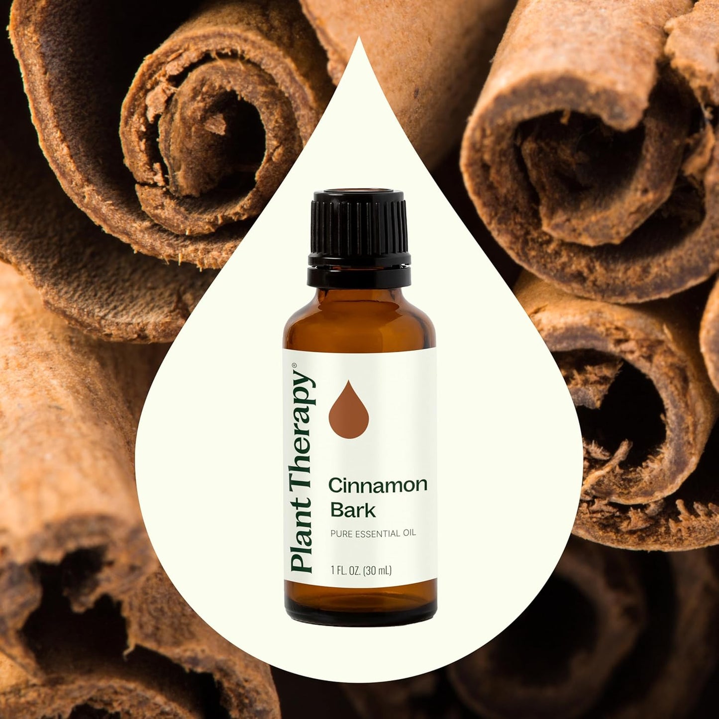 Plant Therapy Cinnamon Bark Essential Oil 30 mL (1 oz) 100% Pure Cinnamon Oil, Undiluted, Aromatherapy for Diffusing and Sore Muscle Relief