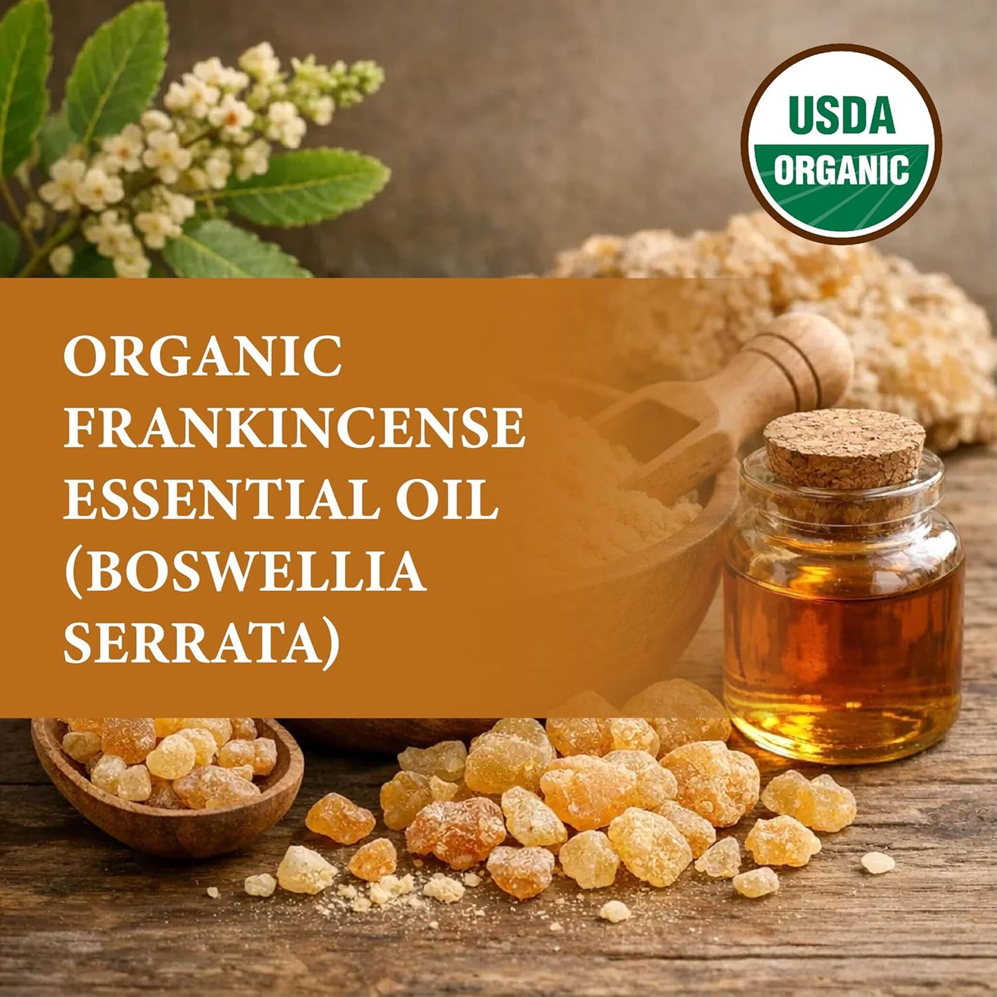 Organic Frankincense Serrata Essential Oil - Steam Distilled Boswellia Serrata Oil, Warm Woody Aroma, Base Note Essential Oil for Aromatherapy, Skincare and DIY Cosmetic Blends - 1 Fl oz