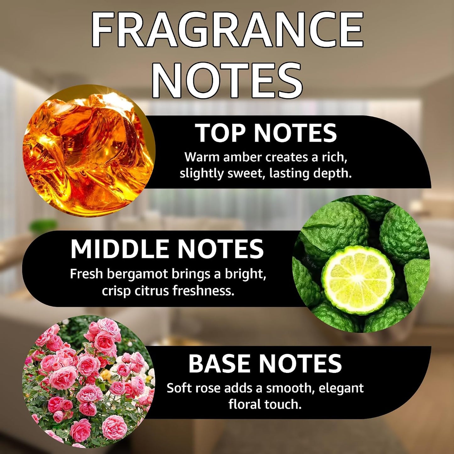 Velvet Riviera Fragrance Oil | Amber, Bergamot & Rose Notes | Long Lasting Scent Reed Diffuser Oil for Home, Office, Hotel, Spa, Car & Linen Spray | Pet Friendly IFRA Compliant, 16 oz