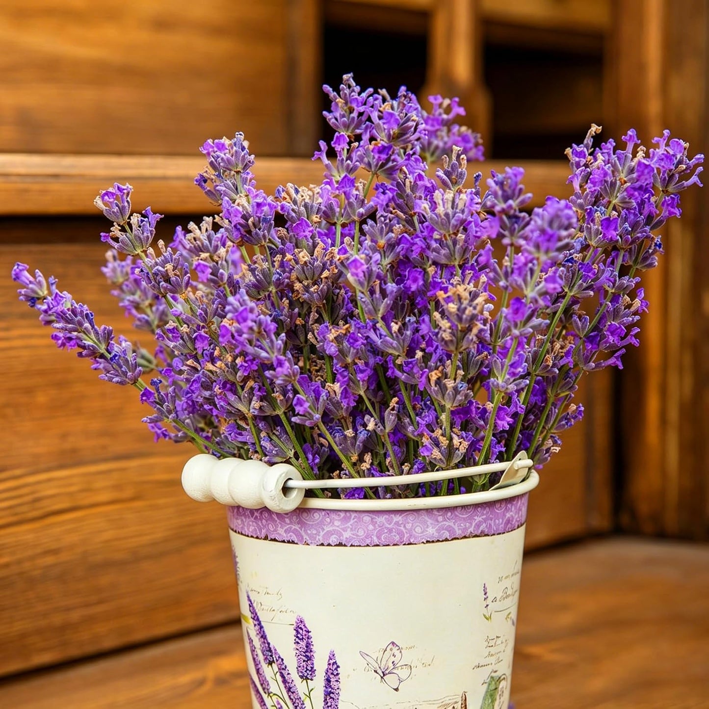 Dwarf Lavender Seeds for Planting Outdoors, 2000pcs Perennial English Lavender Flower Herbs Seeds Plants, Non-GMO Heirloom Hummingbirds Open Pollinated Wildflowers for Home Garden Indoors