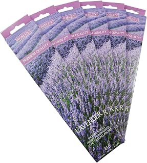 Hosley 120 Pack Incense Sticks + Bonus 120 Pack (Total 240) – Lavender – Bulk Pack Perfect for Home, Meditation & Aromatherapy