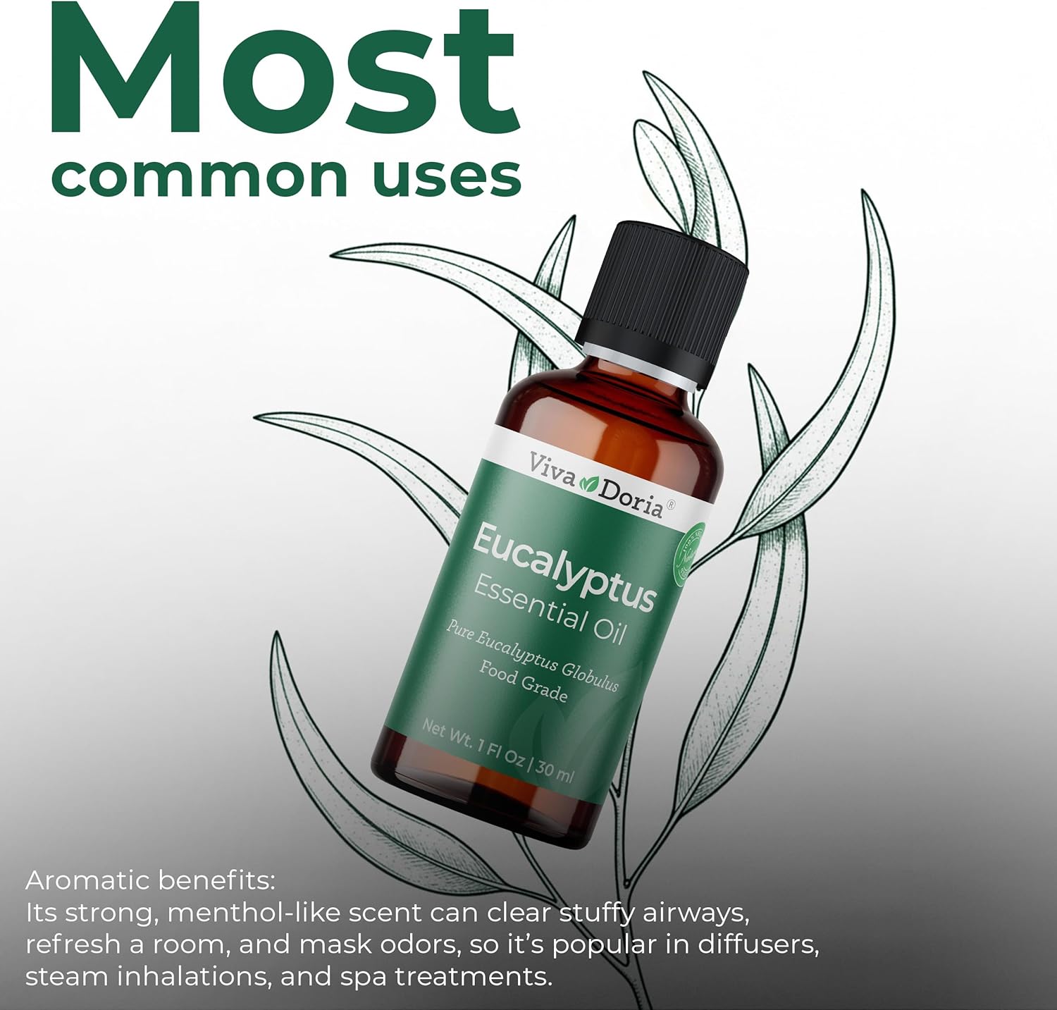 Viva Doria Eucalyptus Essential Oil, 100% Pure, Natural, Essential Globulus Oil, Undiluted, for Aromatherapy | Food Grade, 30 mL (1 Fluid Ounce)