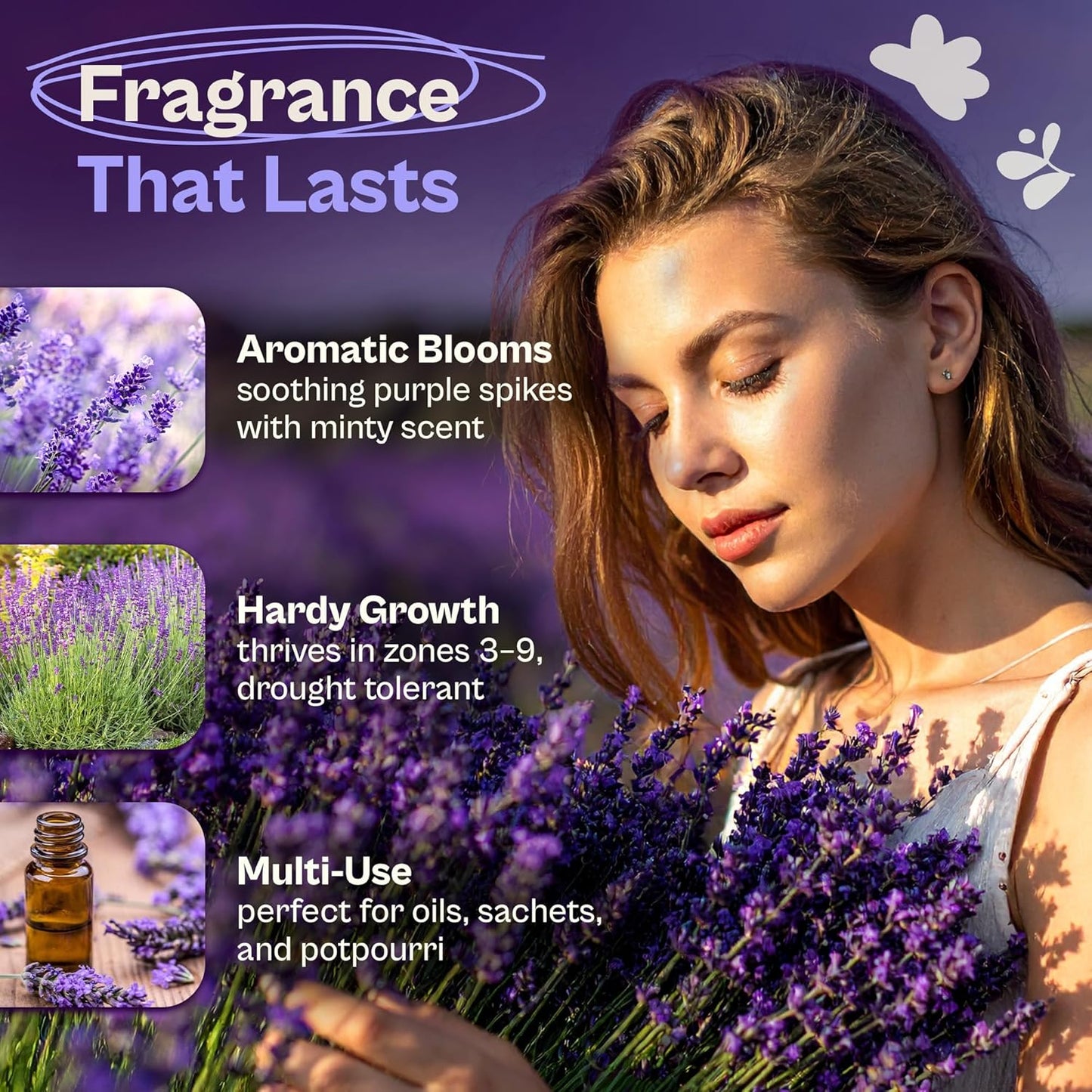 SVI 1500 English Lavender Seeds for Planting (Lavandula angustifolia) – Fragrant Perennial Lavender Flowers – Heirloom Herb Seeds for Borders, Herb Garden & Containers, Wildflower Meadows