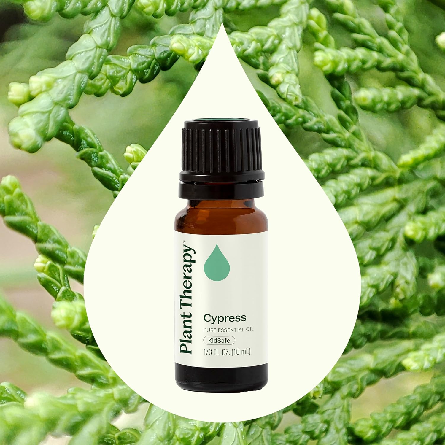 Plant Therapy Cypress Essential Oil 10 mL (1/3 oz), 100% Pure, Undiluted, Natural Aromatherapy for Congestion Relief and Clear Skin