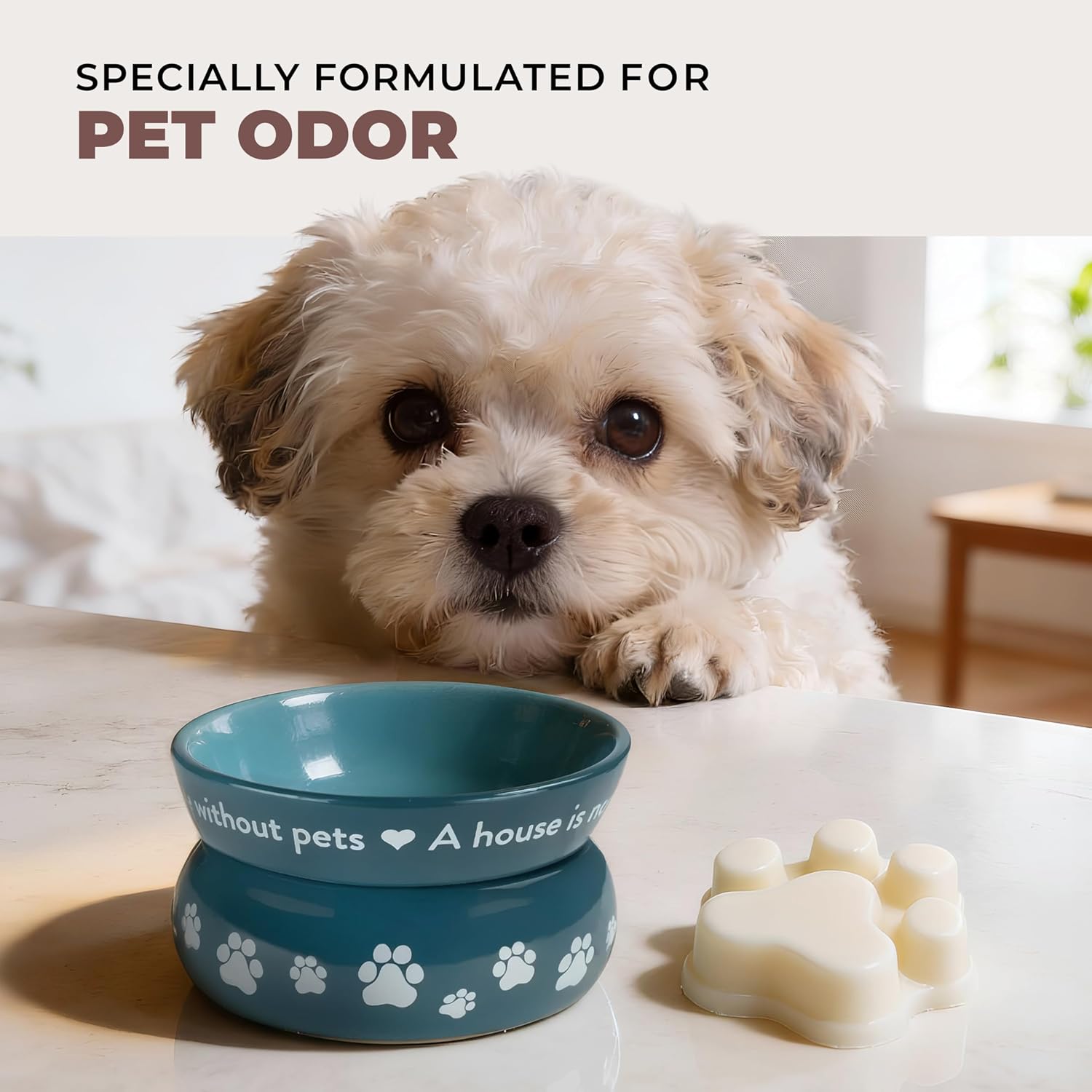 One Fur All Pet House Scented Wax Melts, Natural, Plant Based Soy Wax Melts for Pet Odor, Long Lasting Winter Fragrances for Fresh Smelling Homes, Evergreen Forest and Fireside, Pack of 2