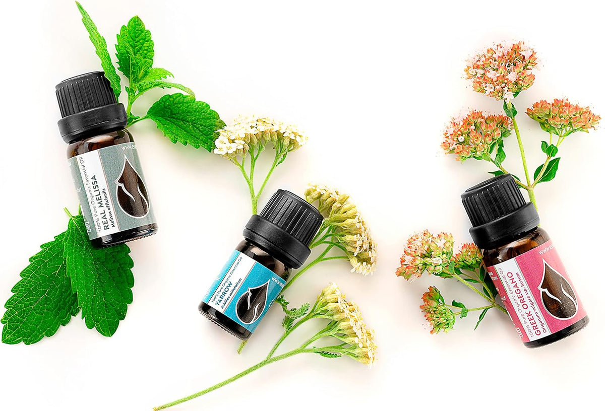Essences Bulgaria Organic Yarrow Essential Oil 1/6 Fl Oz | 5ml | Achillea millefolium | 100% Pure and Natural | Undiluted | Therapeutic Grade | Family Owned Farm | Steam-Distilled | Non-GMO | Vegan