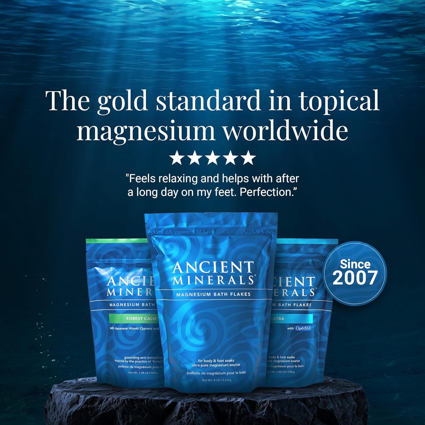 Ancient Minerals Magnesium Bath Flakes – Pure Zechstein Magnesium Chloride for Soaking and Whole-Body Replenishment (16 lb)