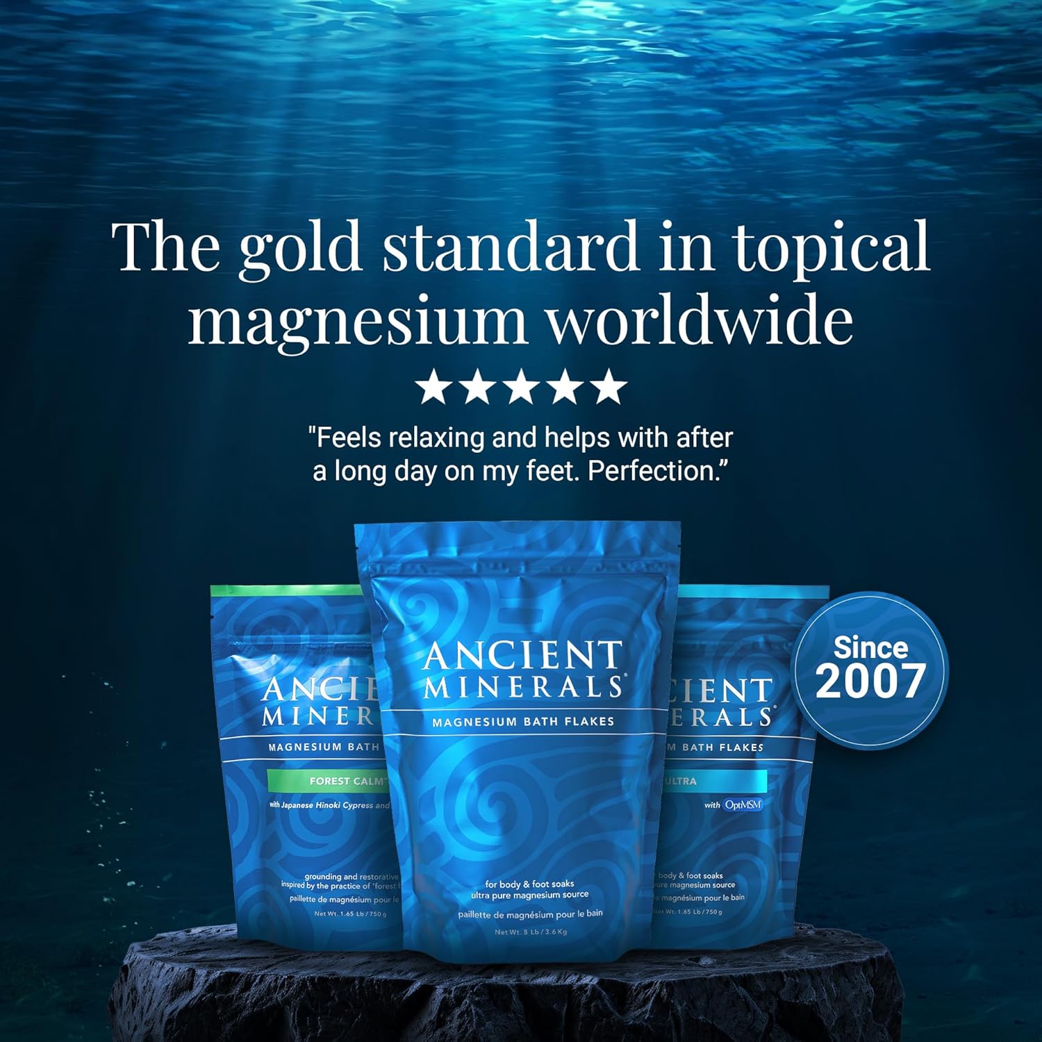 Ancient Minerals Magnesium Bath Flakes – Pure Zechstein Magnesium Chloride for Soaking and Whole-Body Replenishment (16 lb)