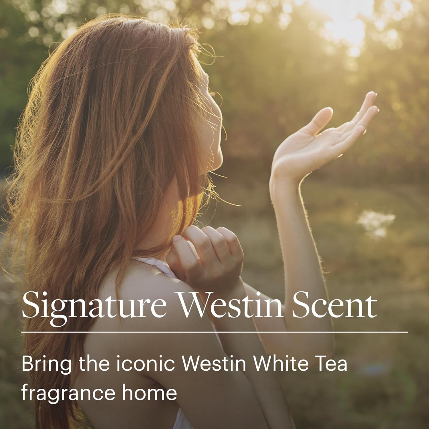 Westin White Tea Candle - Hand-Poured, Soy Candle with Signature White Tea Scent - 12.5 oz. - Set of 3