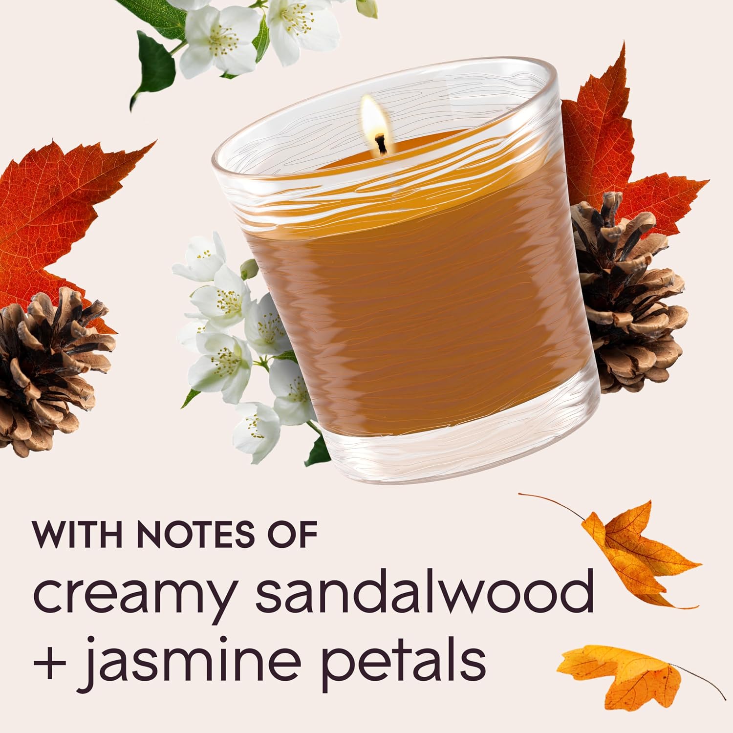 Glade 1-Wick Scented Candle Jar, Cashmere Woods, Air Freshener Infused with Essential Oils, 4.08 Oz, 2 Count