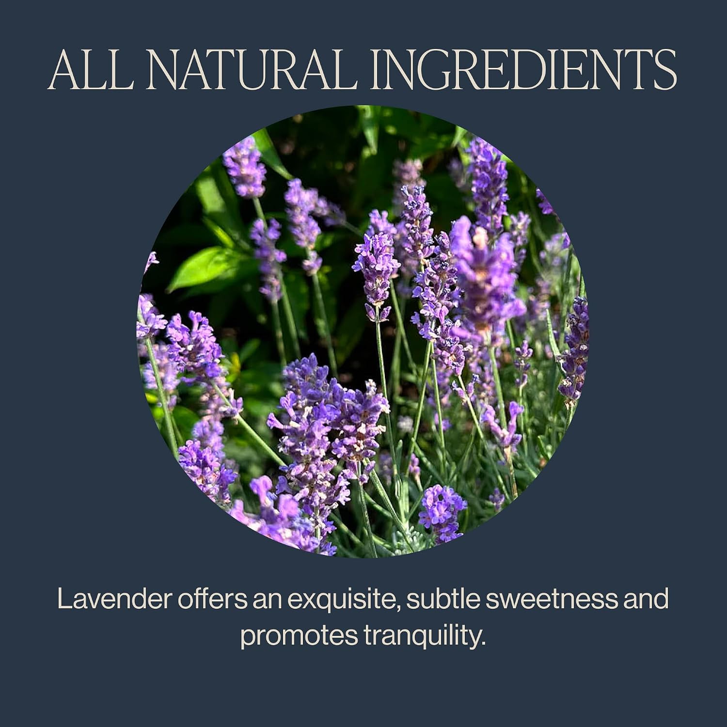 Rishi Tea Lavender Mint Herbal Tea - Organic, Caffeine Free Sachet Bags, Calming Lavender with Peppermint & Sage - 30 Count