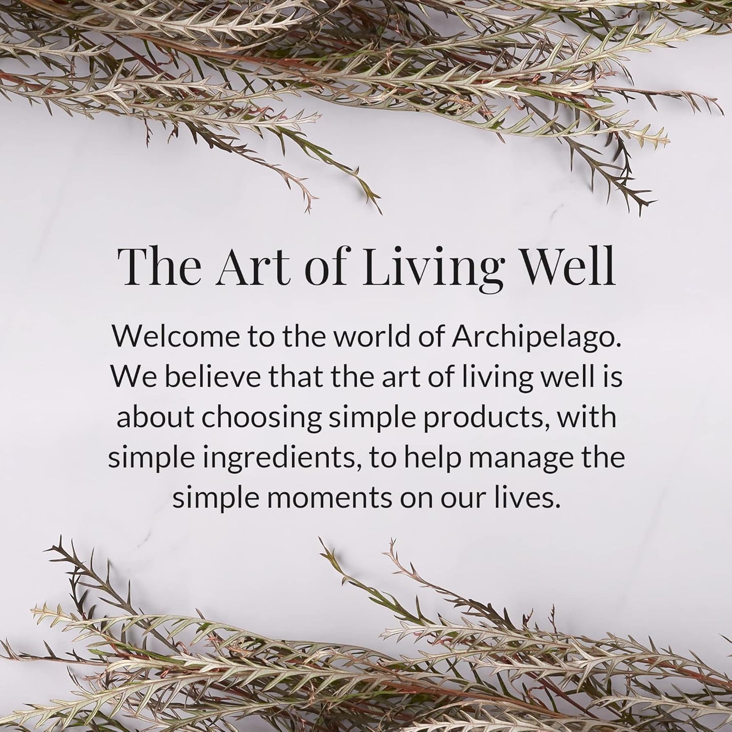 Archipelago Botanicals Black Forest Soy Wax Blend Travel Candle Tin, Dark Ebony Wood, Douglas Fir and Black Currant Scent, Clean Burning, Lead-Free Wick, 30 Hour Burn, 5.7 oz