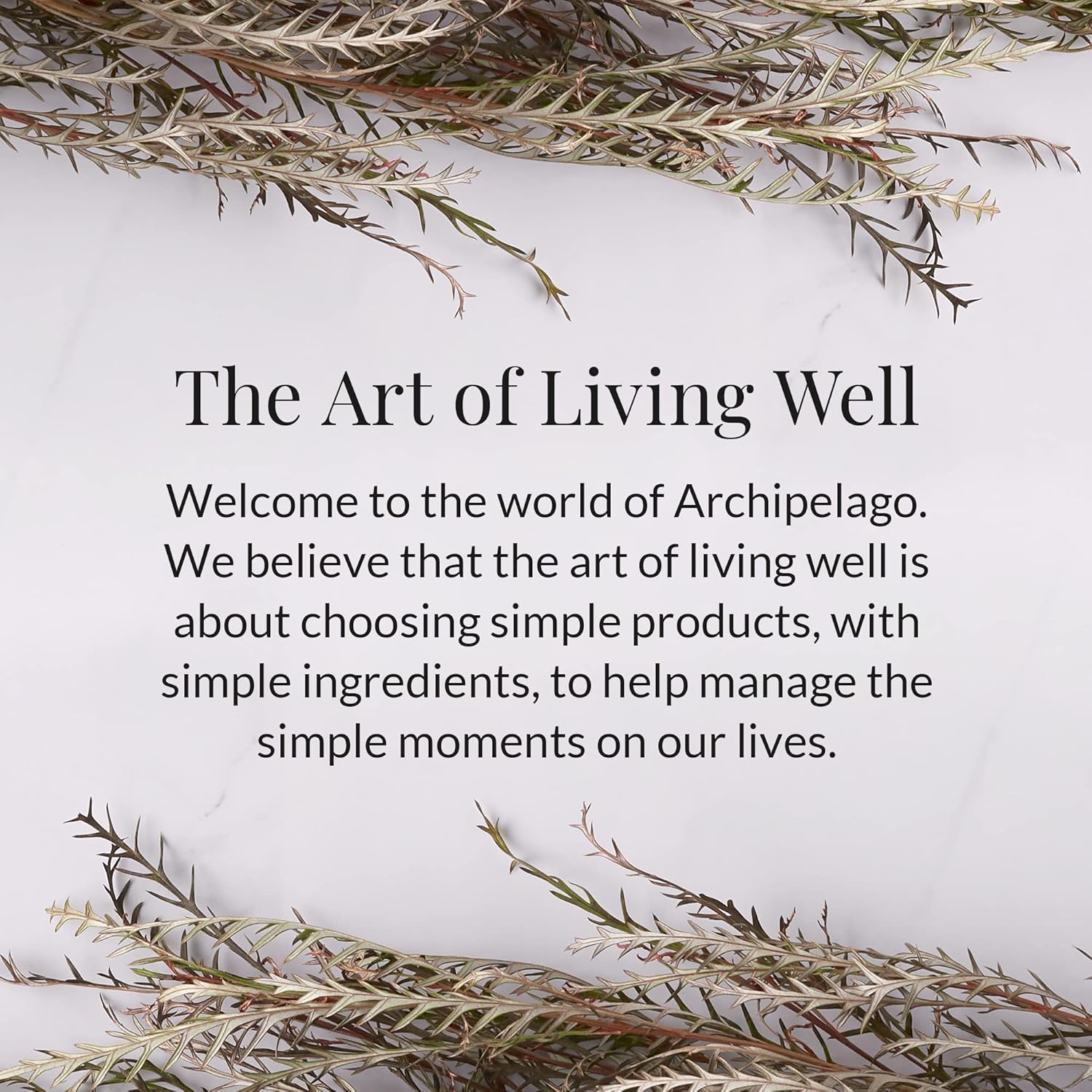 Archipelago Botanicals Black Forest Soy Wax Blend Travel Candle Tin, Dark Ebony Wood, Douglas Fir and Black Currant Scent, Clean Burning, Lead-Free Wick, 30 Hour Burn, 5.7 oz