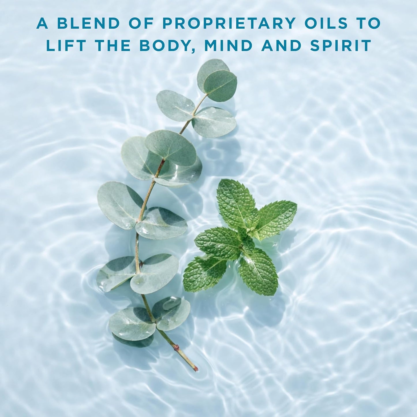 Honestly Margo Aromatherapy Shower Mist Spray Eucalyptus (4 Fl Oz, Pack of 1) – Wellness Spray with Essential Oils for Shower Steam, Personal Space Mist – Cruelty-Free Body Care & Bath Products