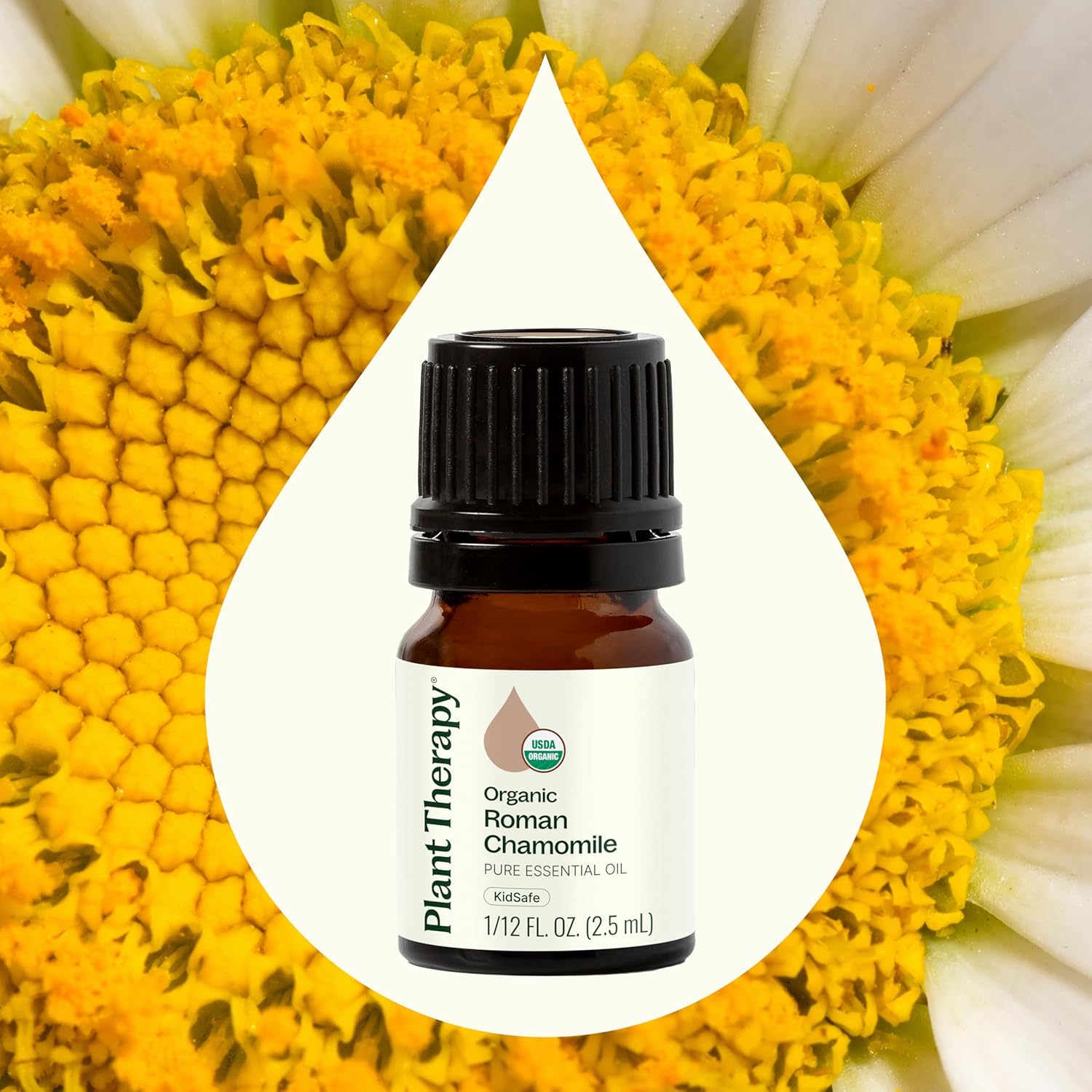 Plant Therapy Organic Roman Chamomile Essential Oil 2.5 mL (1/12 oz) 100% Pure, Undiluted, USDA Certified Organic, Natural Aromatherapy for Relaxation and Stress Relief