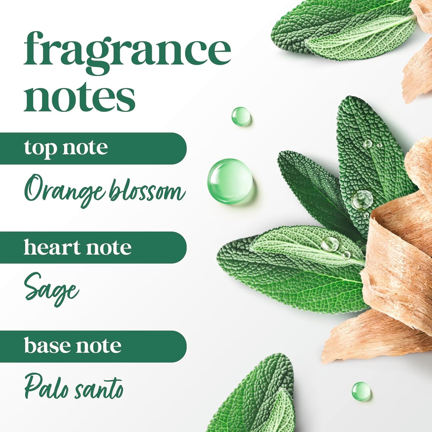 Dove Palo Santo & Sage Antiperspirant Stick – 72H Sweat & Odor Protection, Pro‑Ceramide Technology, Alcohol‑Free, FIFA Limited Edition Design, 2.6 oz