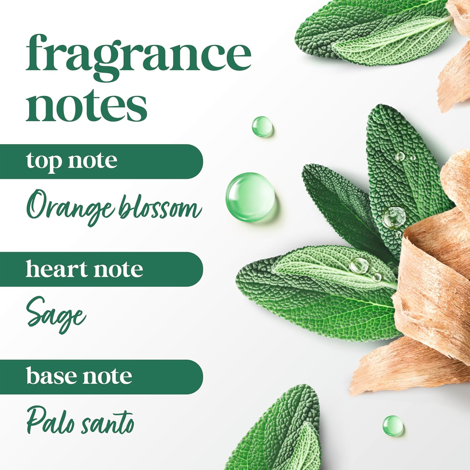 Dove Palo Santo & Sage Antiperspirant Stick – 72H Sweat & Odor Protection, Pro‑Ceramide Technology, Alcohol‑Free, FIFA Limited Edition Design, 2.6 oz