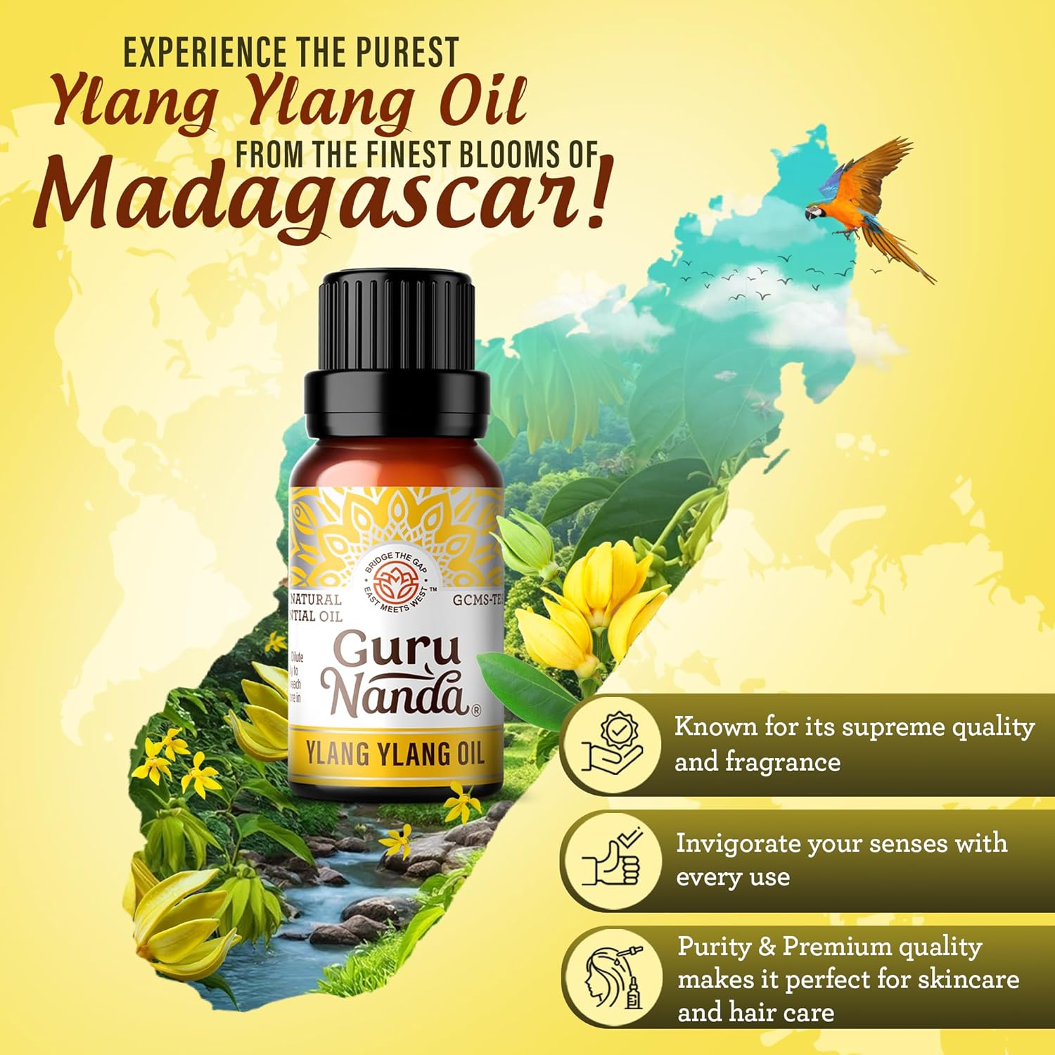 GuruNanda Ylang Ylang Essential Oil (10ml Each) - 100% Pure, Natural and Undiluted Diffuser Oil for Aromatherapy, Massages & DIY Recipes - 2 Pack