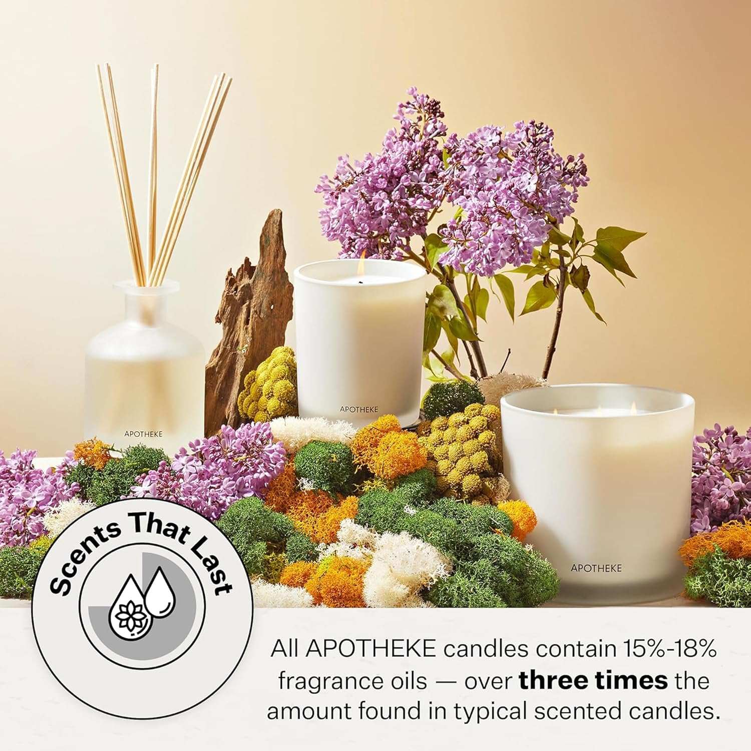 Apotheke Signature Scented Candles for Home, Canvas - 10.5 oz - Soy Wax, Non Toxic, Large Jar White - Luxury Candle Gifts for Women & Men - White Musk, Dew Drops, and Lily of the Valley