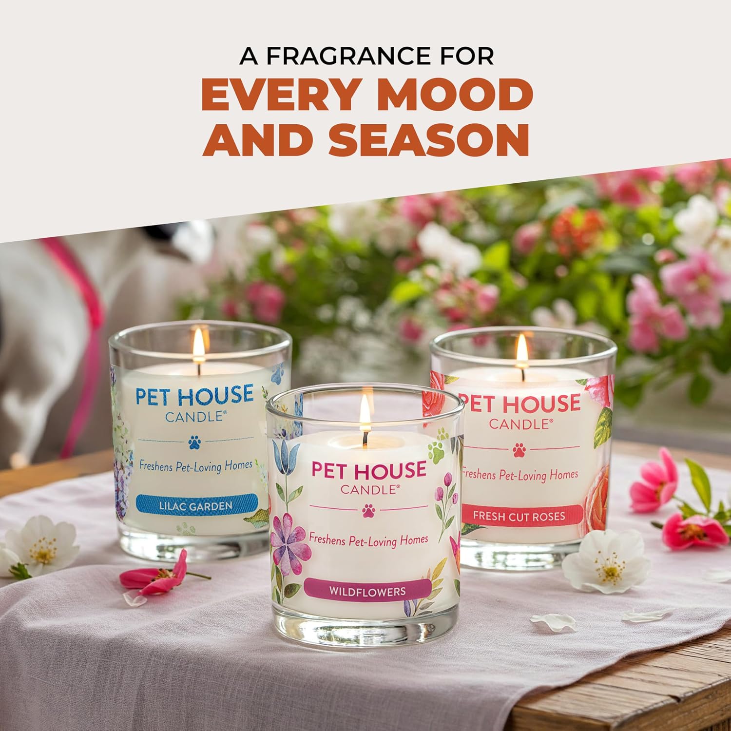 One Fur All Pet House Candle Plant-Based/Soy - Clean Burning Scented, Long Lasting Pet Odor Candle for Home - Vanilla Sandalwood