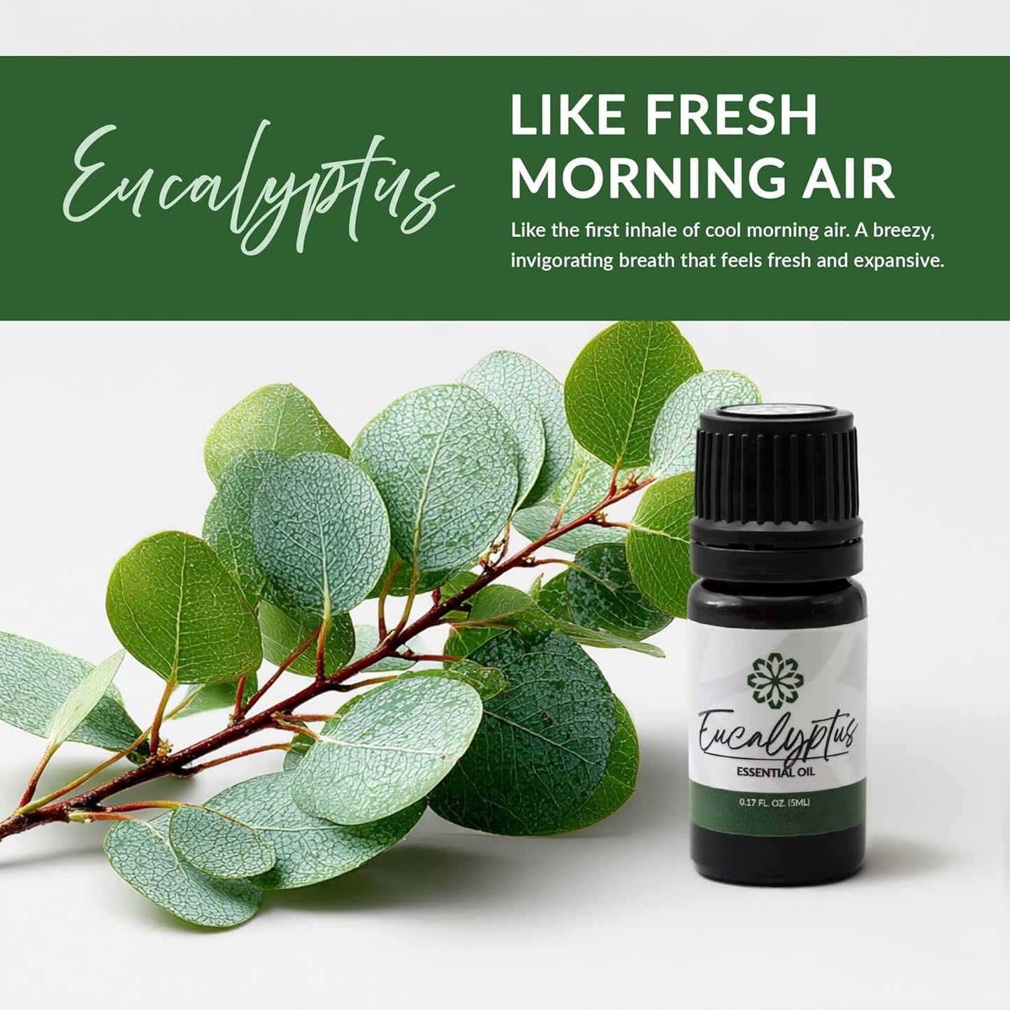 Essence Refresh Kit | Solid Scents Essential Oils | Aromatherapy Nasal Diffuser | Personal Scent Clip for Travel, Work & Everyday Use | Made in USA | Eucalyptus | Bamboo/Glass Pod
