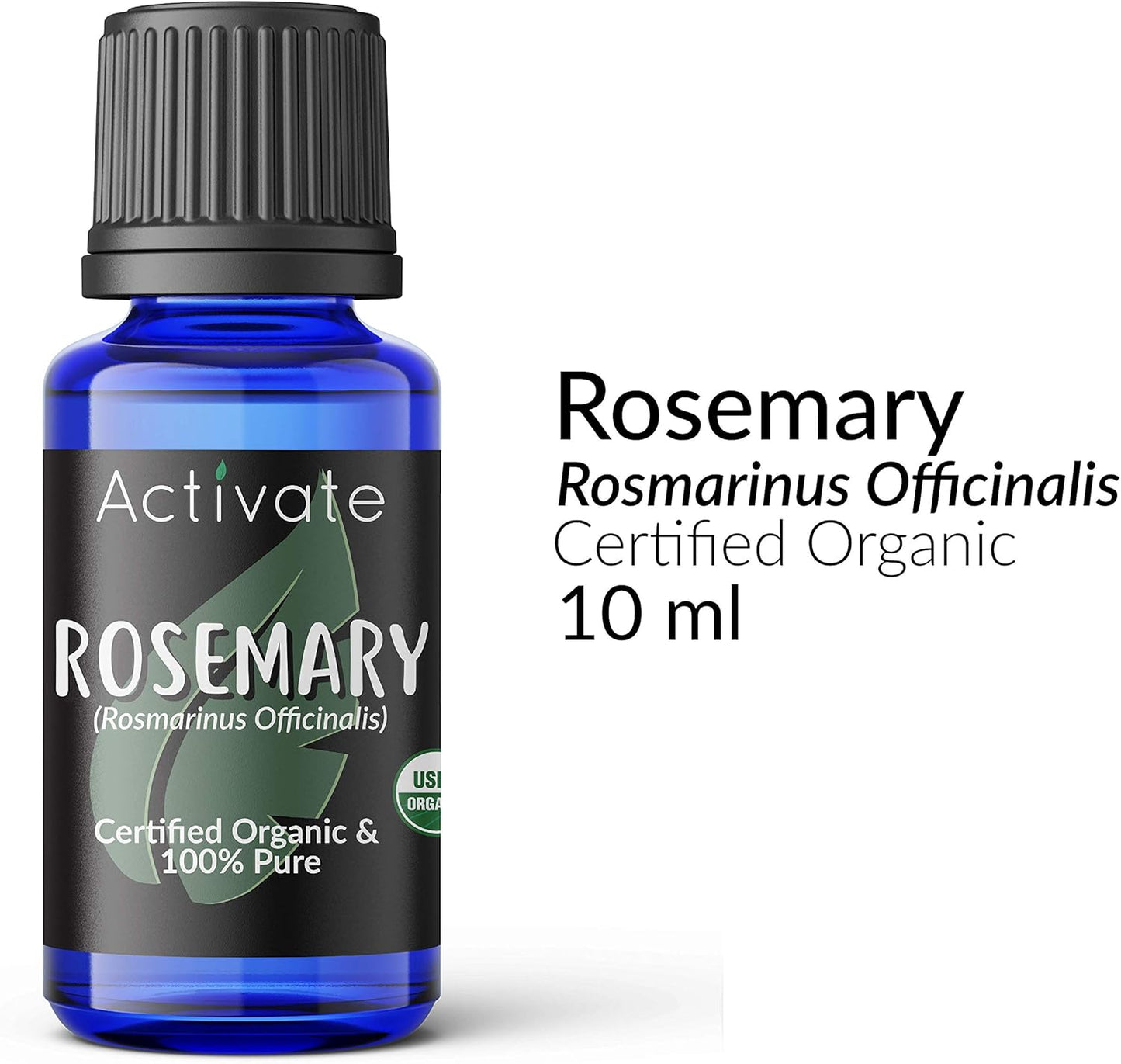 Activate Rosemary Organic Essential Oil 100% Pure, USDA Certified Organic, Premium Grade, Undiluted, Non-GMO, Therapeutic Natural Oils, Aromatherapy & Diffuser Use Gift 10ml