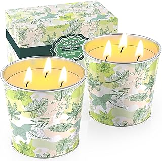 WarmEmbrace Citronella Candles Outdoor & Indoor, 40oz Large Citronella Candle 200H Burning Long Lasting, Soy Scented, 3-Wick Natural Soy Wax for Patio, Garden, Backyard, Camping, Cookout