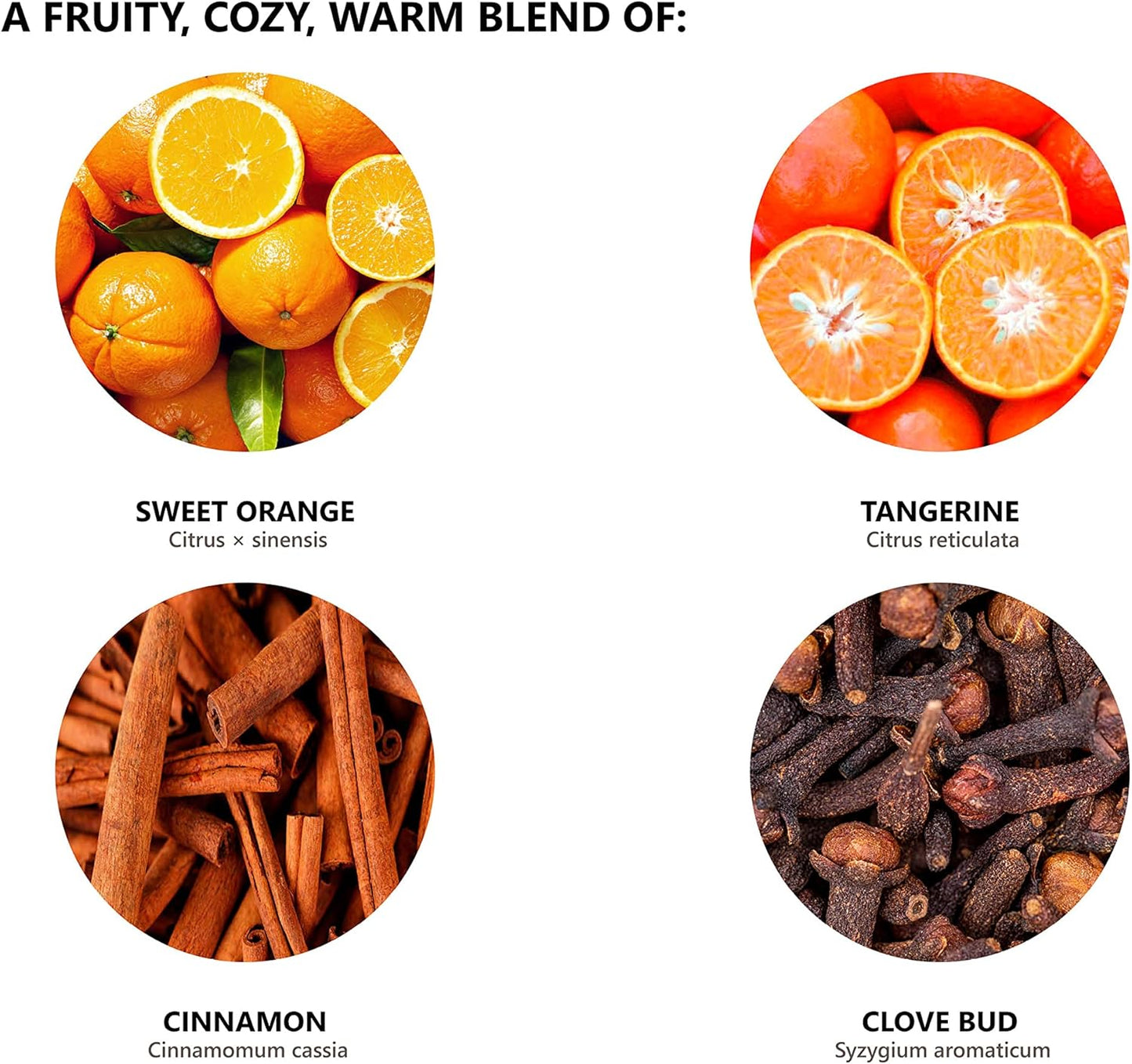 Christmas Joy Essential Oil Blend 1oz(30ml) - 100% Natural, Premium Quality Essential Oil Blend for Aromatherapy- Citrusy, Fresh, and Spicy