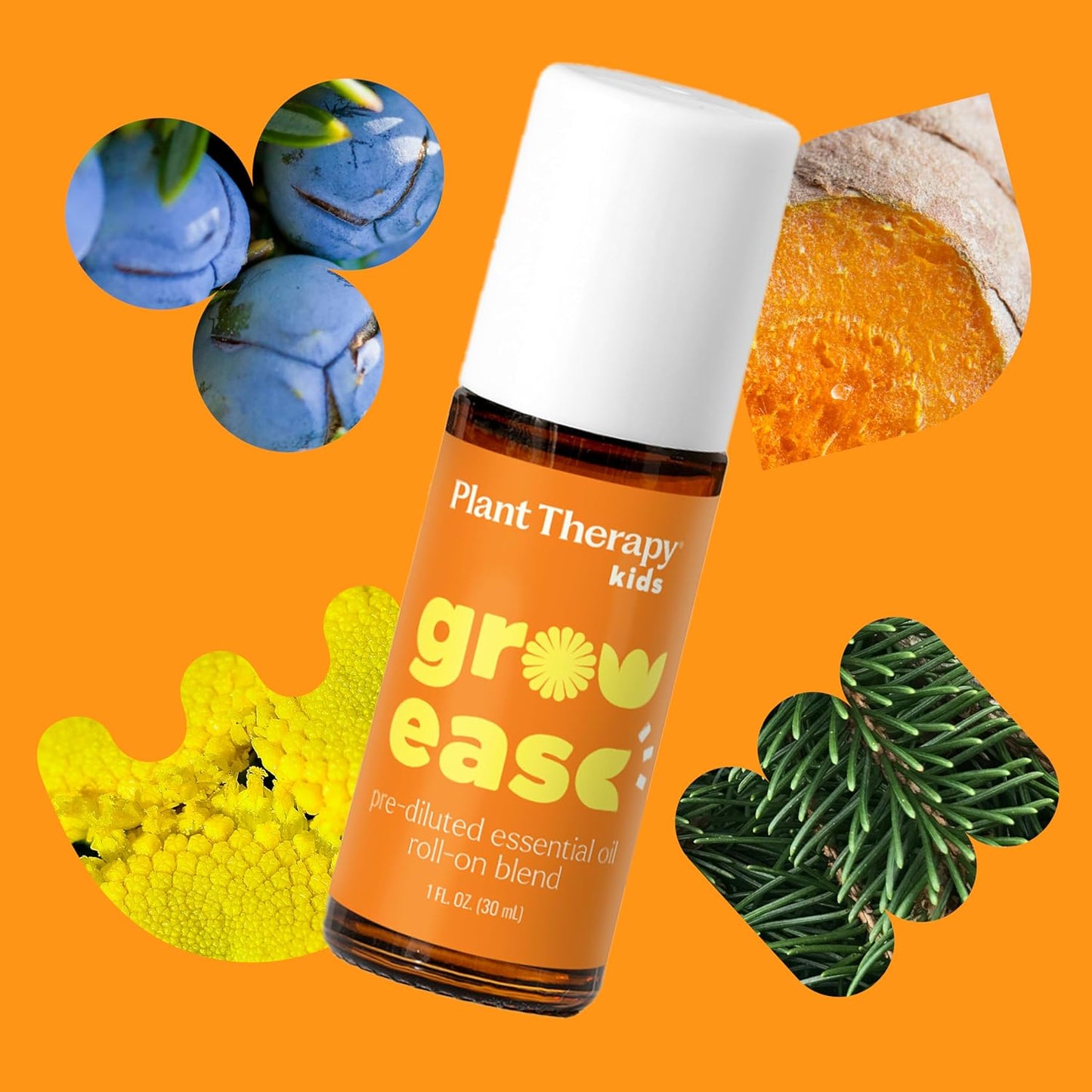 Plant Therapy Kids Grow Ease Essential Oil Roll-On 30 mL (1 oz), Growing Pains Relief for Kids, Muscle Aches & Leg Cramps, KidSafe, Pre-Diluted Essential Oil Blend