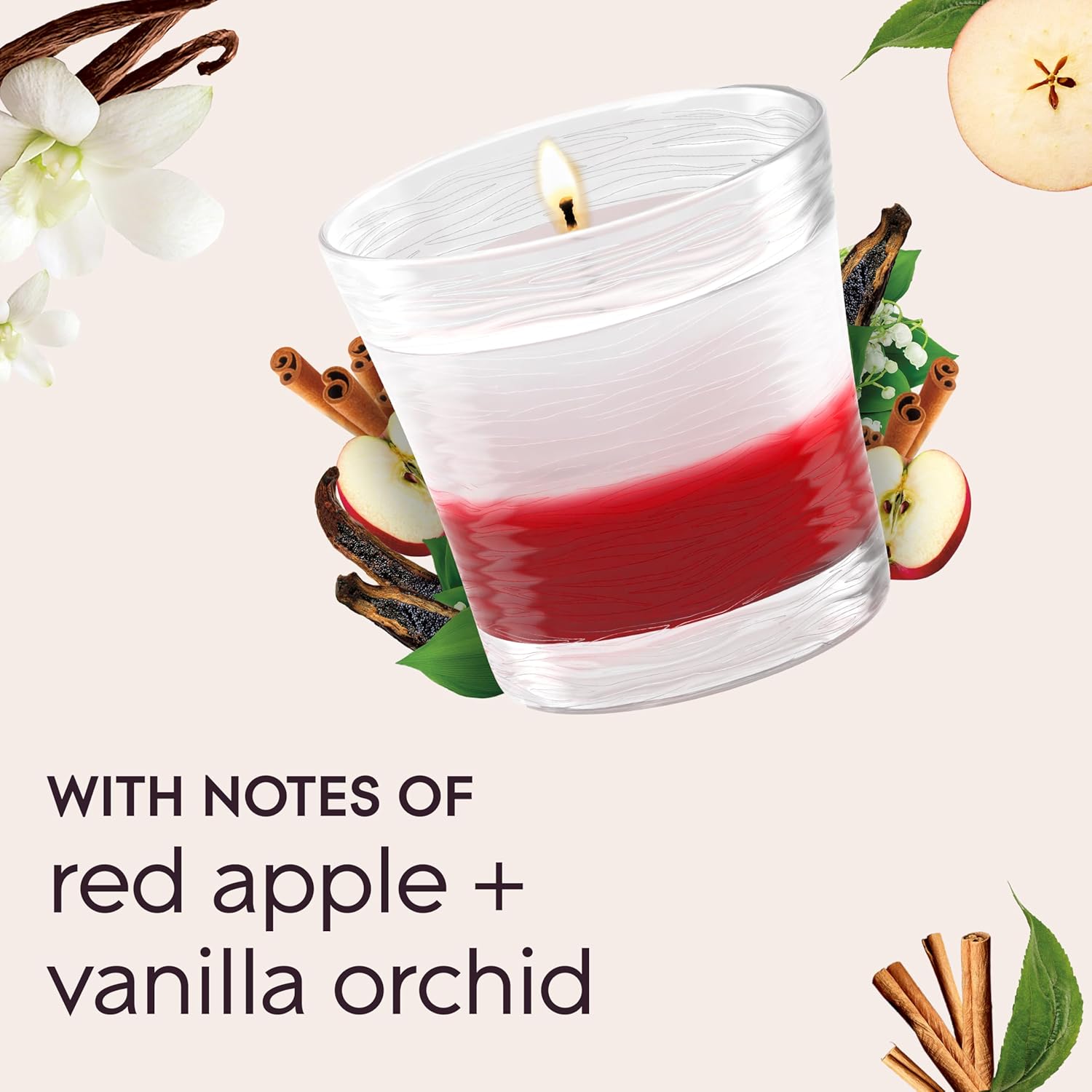 Glade 1-Wick 2in1 Scented Candle Jar, Sheer Vanilla Embrace & Apple Cinnamon, Air Freshener Infused with Essential Oils, 4.08 Oz, 2 Count