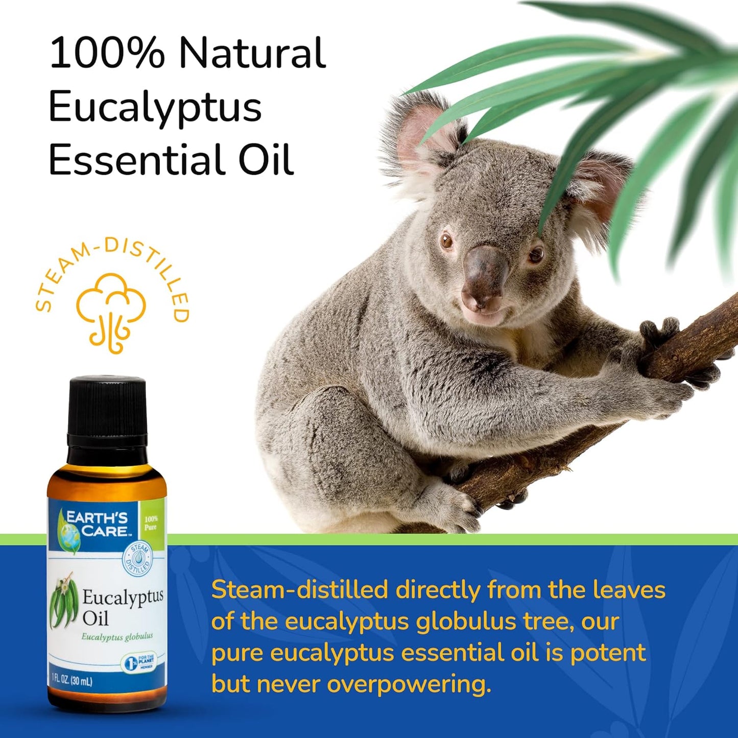 Earth's Care Eucalyptus Oil - 100% Natural Eucalyptus Essential Oil - for Aromatherapy - Steam Distilled - 1 Fl OZ (4 Bottles)