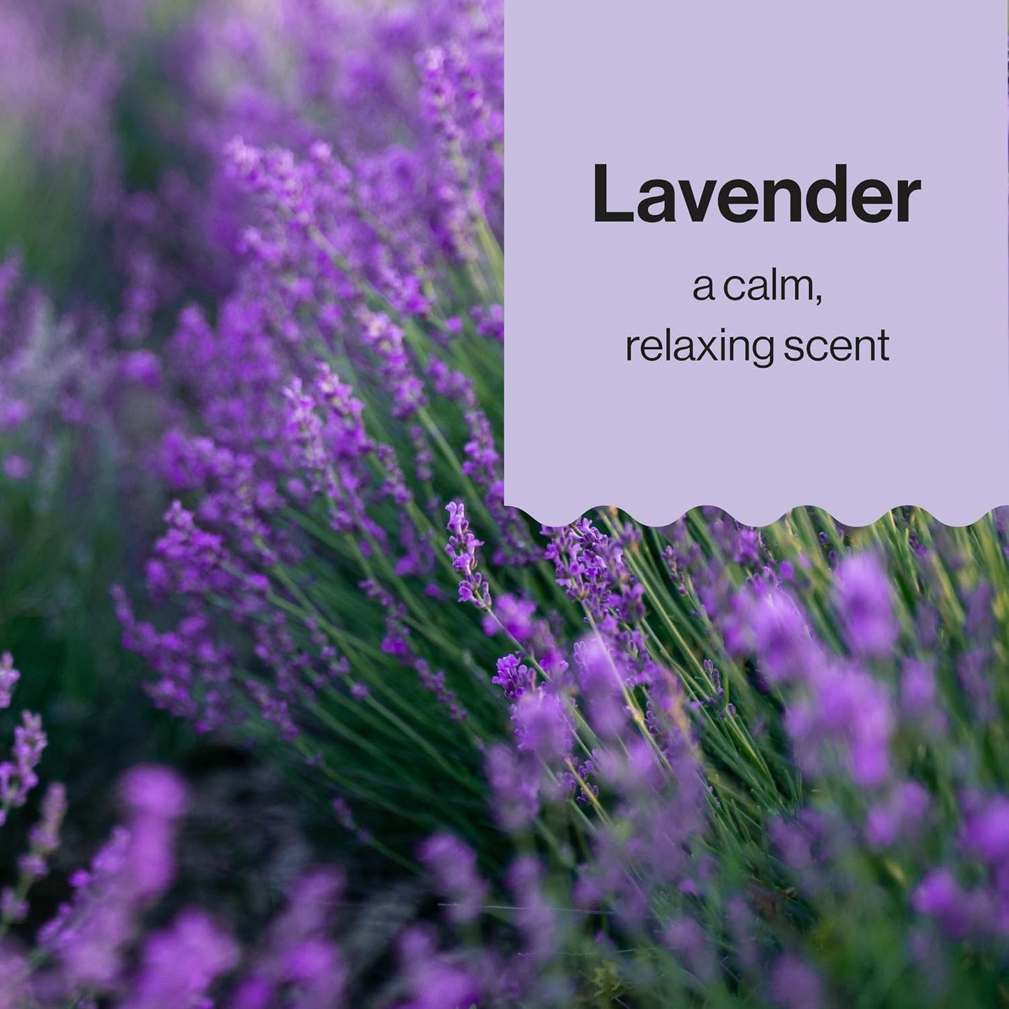 The Honest Company Calming Lavender Bathtime Gift Set Hypoallergenic Bath Essentials for Sensitive Baby Skin Shampoo and Body Wash Face Lotion Bubble Conditioner Cloth