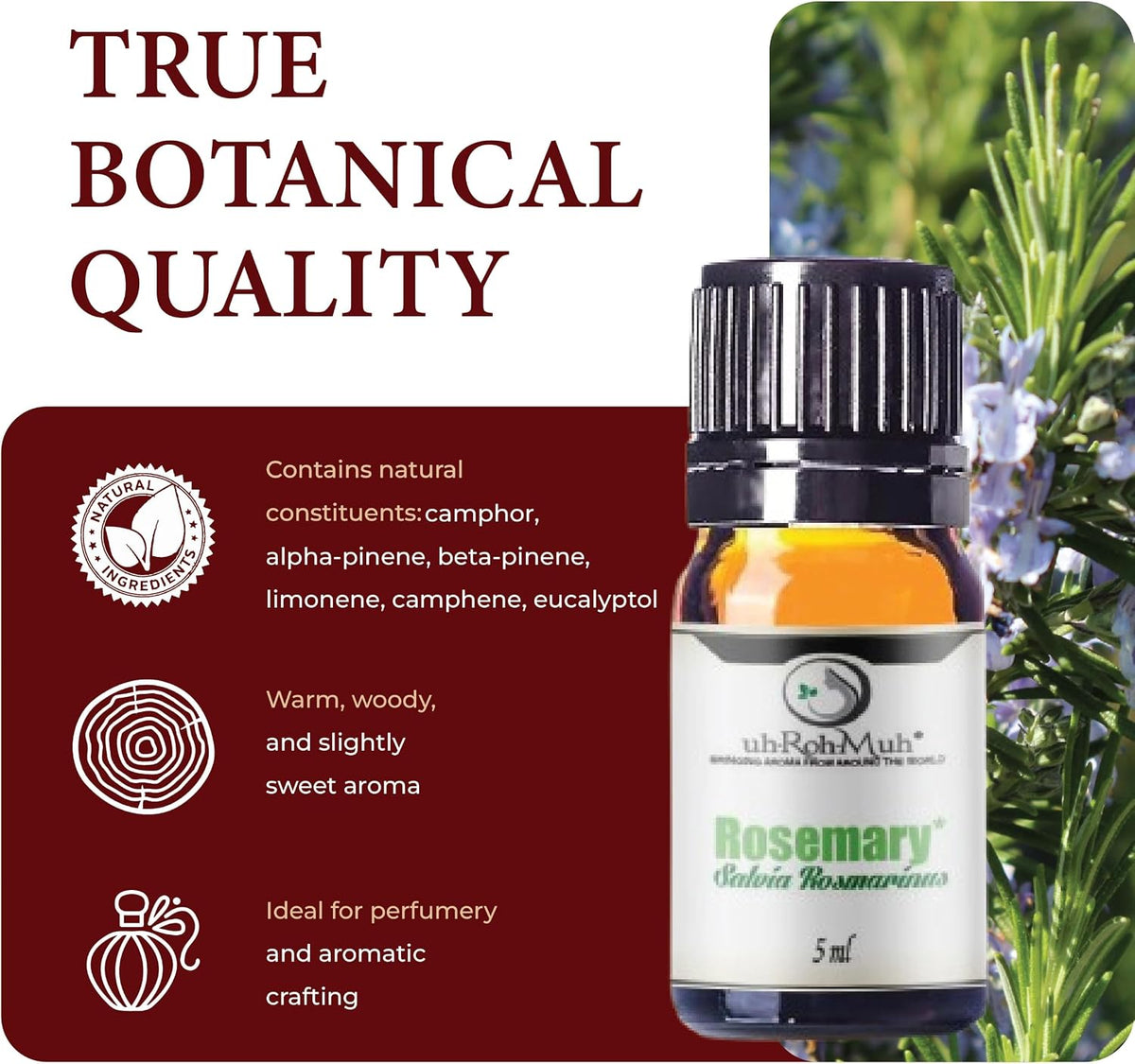 Organic Rosemary Essential Oil ct Camphor | 100% Pure Steam Distilled Aromatic Oil from Salvia rosmarinus Leaves | Fresh Herbaceous Camphor Aroma for Diffusers, Haircare | Spain 5ml w/Euro Dropper
