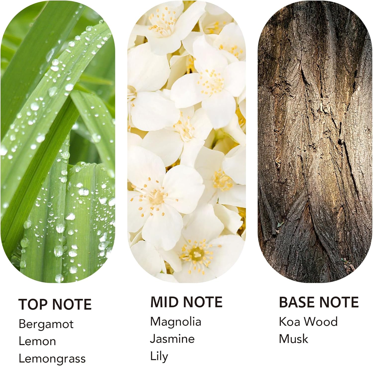 Luxury Hotel Scent 24K Aura Diffuser Oil Waterless Essential Aromatherapy for Cold Air & Car Diffusers – Long Lasting Refill for Large Room & Home - Signature Lemongrass (20ml/0.68Fl oz)