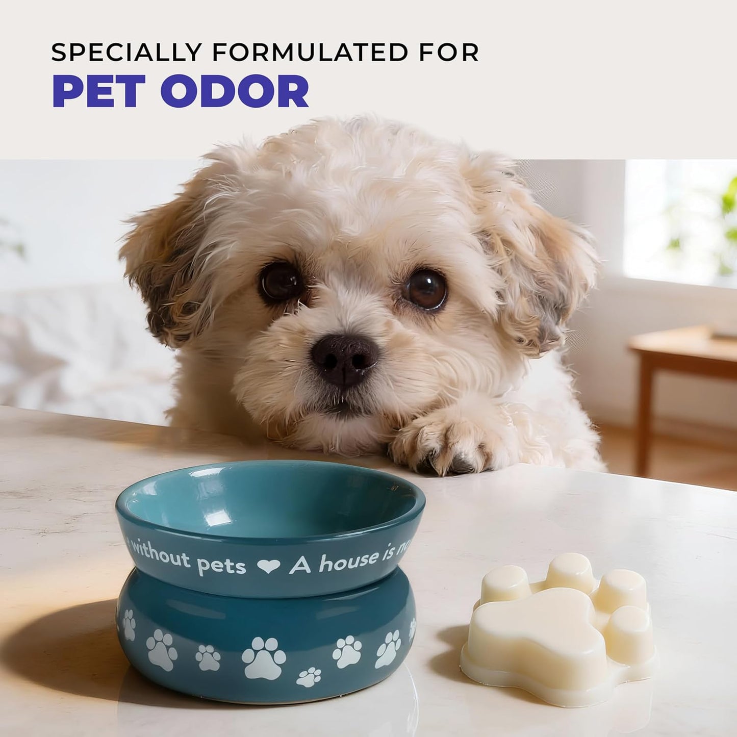 One Fur All Pet House Scented Wax Melts Natural, Plant Based Soy Wax Melts for Pet Odor, Long Lasting Fragrance for Fresh Smelling Homes, Sea Salt & Citrus Pack of 2