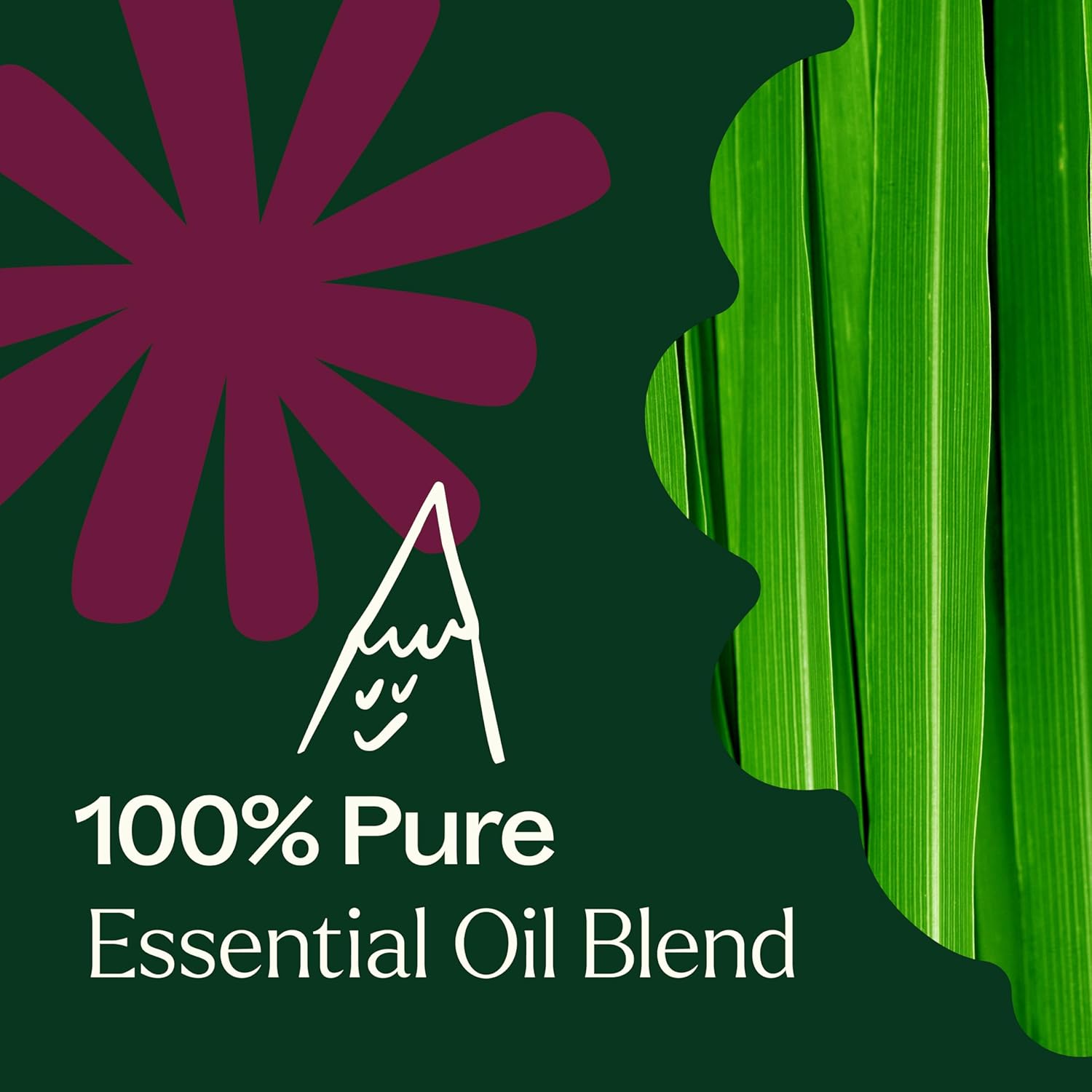 Plant Therapy Nature Shield Essential Oil Blend Pre-Diluted Roll-On 10 mL (1/3 oz) 100% Pure, Natural Aromatherapy (Pack of 2)