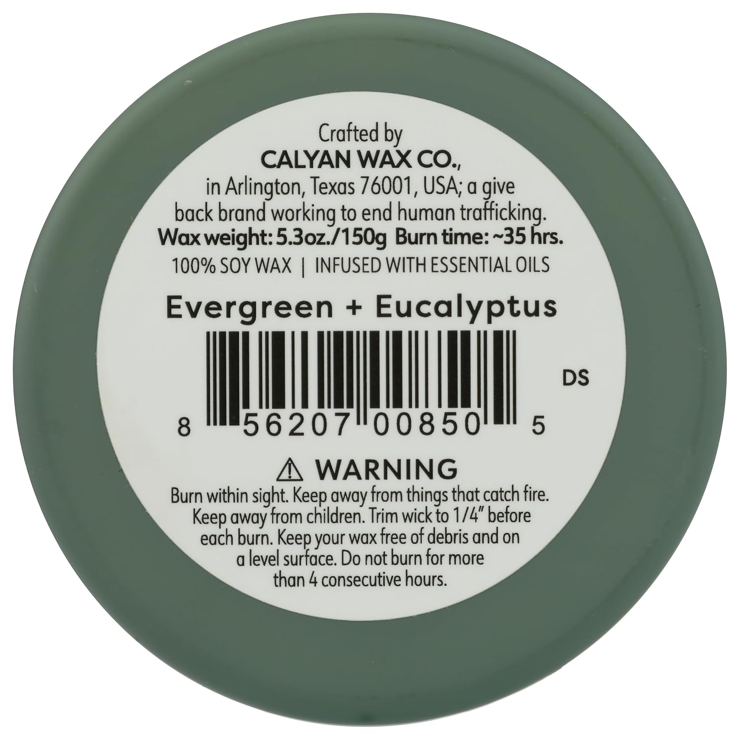 Calyan Wax Co. Dignity Series Evergreen & Eucalyptus Scented Candle - 35 Hour Burn - Luxury Clean Soy Wax Candles - Long Lasting Green Glass Jar Candle for Home - 5.3oz