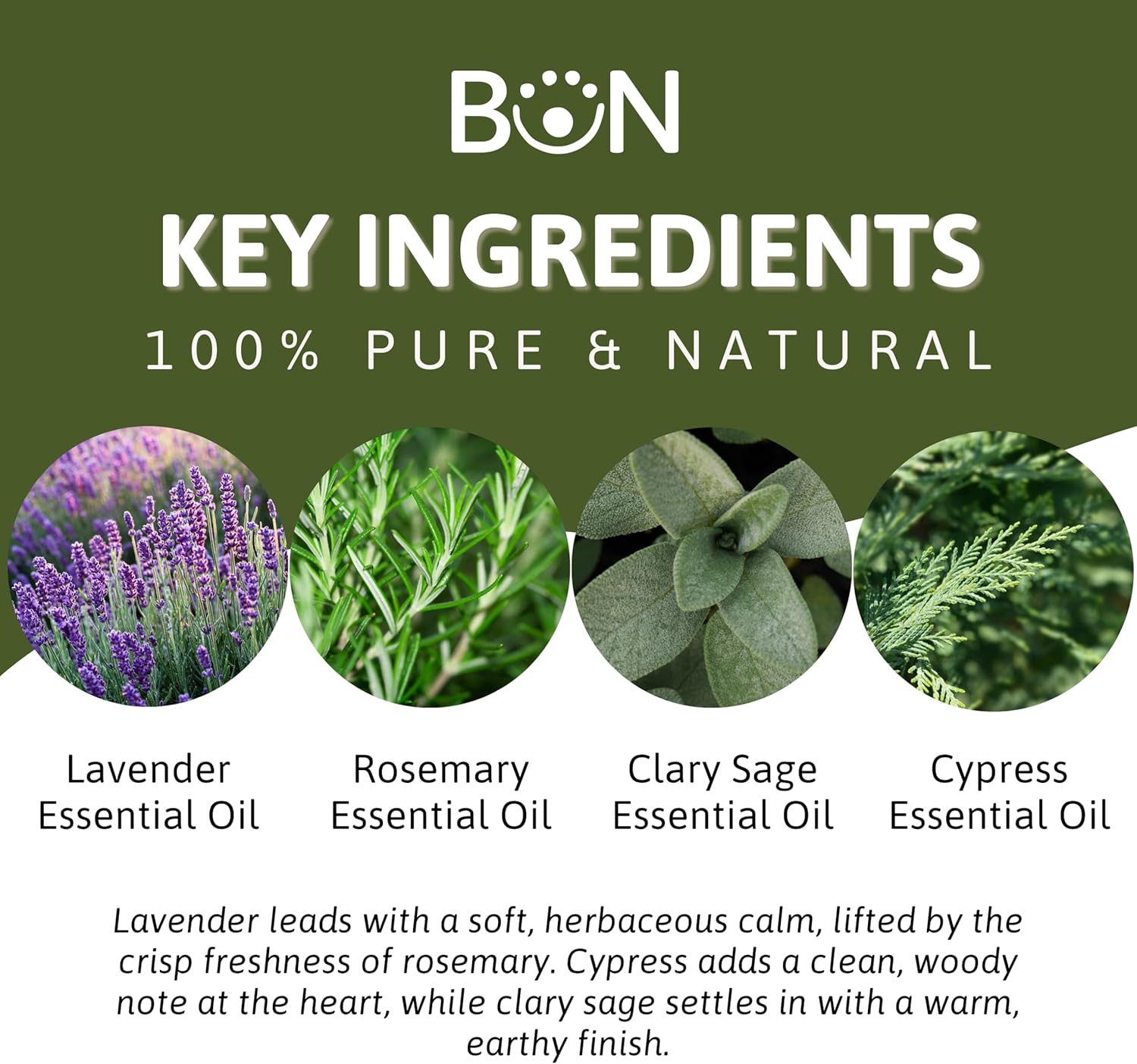 Best of Nature Memory Essential Oil Blend – 100% Pure for Diffuser, Aromatherapy & Focus – Herbal, Refreshing Scent with Lavender, Rosemary, Cypress & Clary Sage