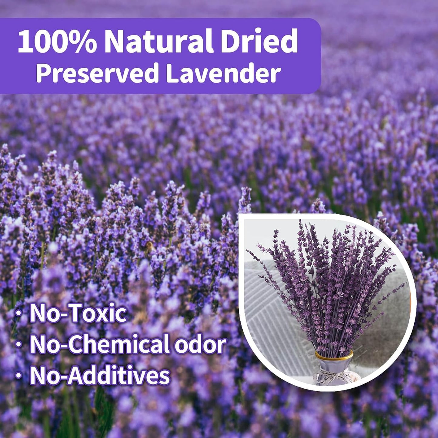Dried Lavender Flowers, Preserved Lavender Bouquet 15-17 Inches, Purple Lavender Bundle for Shower, Home Decor, Vase Filler, Wedding Decorations, Aromatherapy, DIY Crafts, 50g(1.76oz)