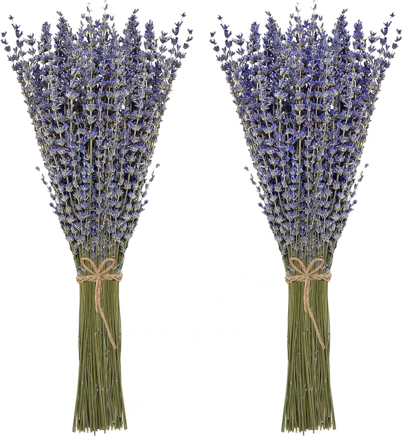 Timoo Dried Lavender Bundles 100 Natural Dried Lavender Flowers for Home Decoration, Photo Props, Home Fragrance, 2 Bundles Pack