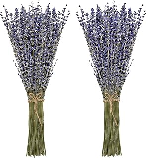 Timoo Dried Lavender Bundles 100 Natural Dried Lavender Flowers for Home Decoration, Photo Props, Home Fragrance, 2 Bundles Pack