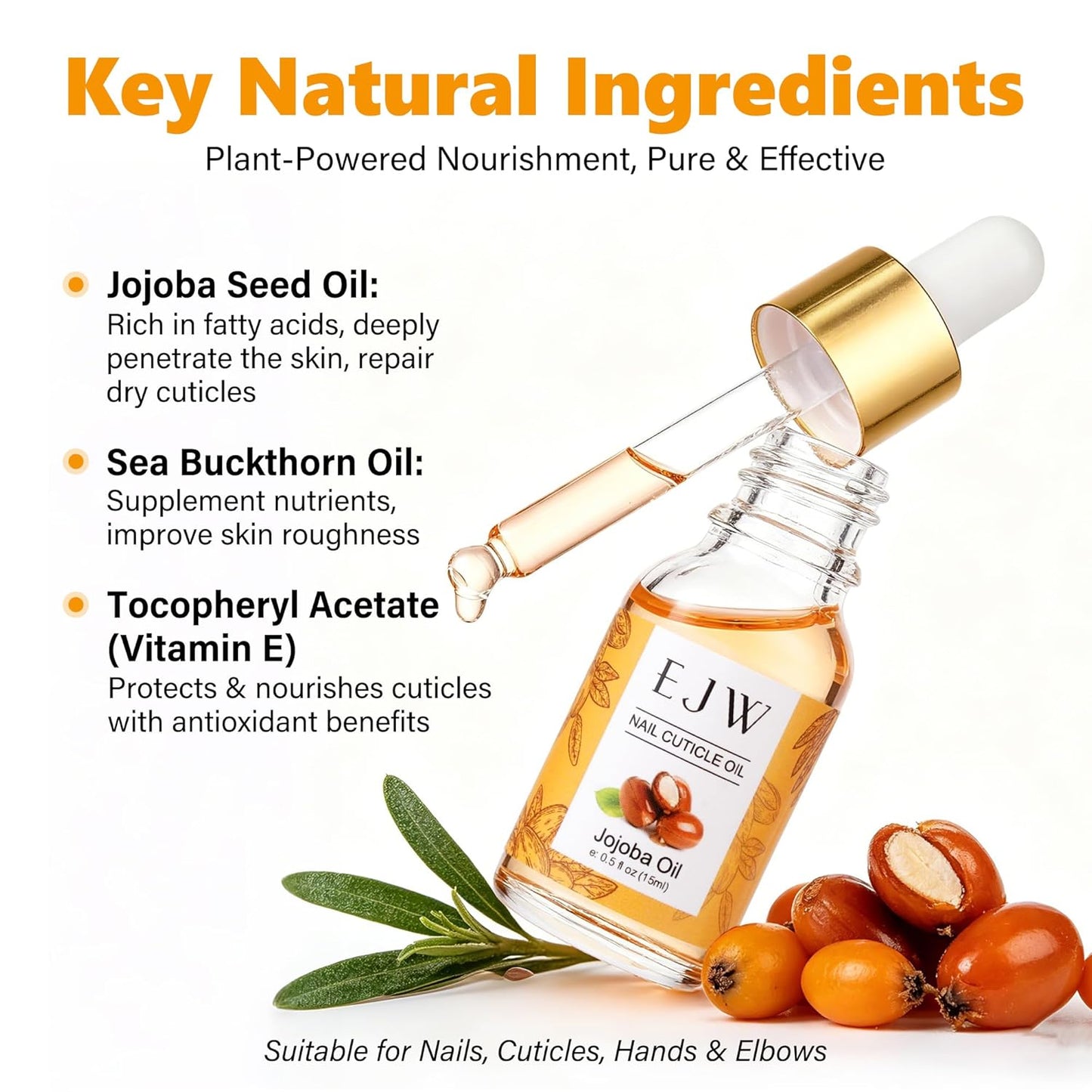 EJW Jojoba Oil for Nail, Cuticle Oil with Sea Buckthorn & Vitamin E, Nail Strengthener and Growth for Dry Cuticles, Fingertips & Elbows, 0.5 Fl Oz
